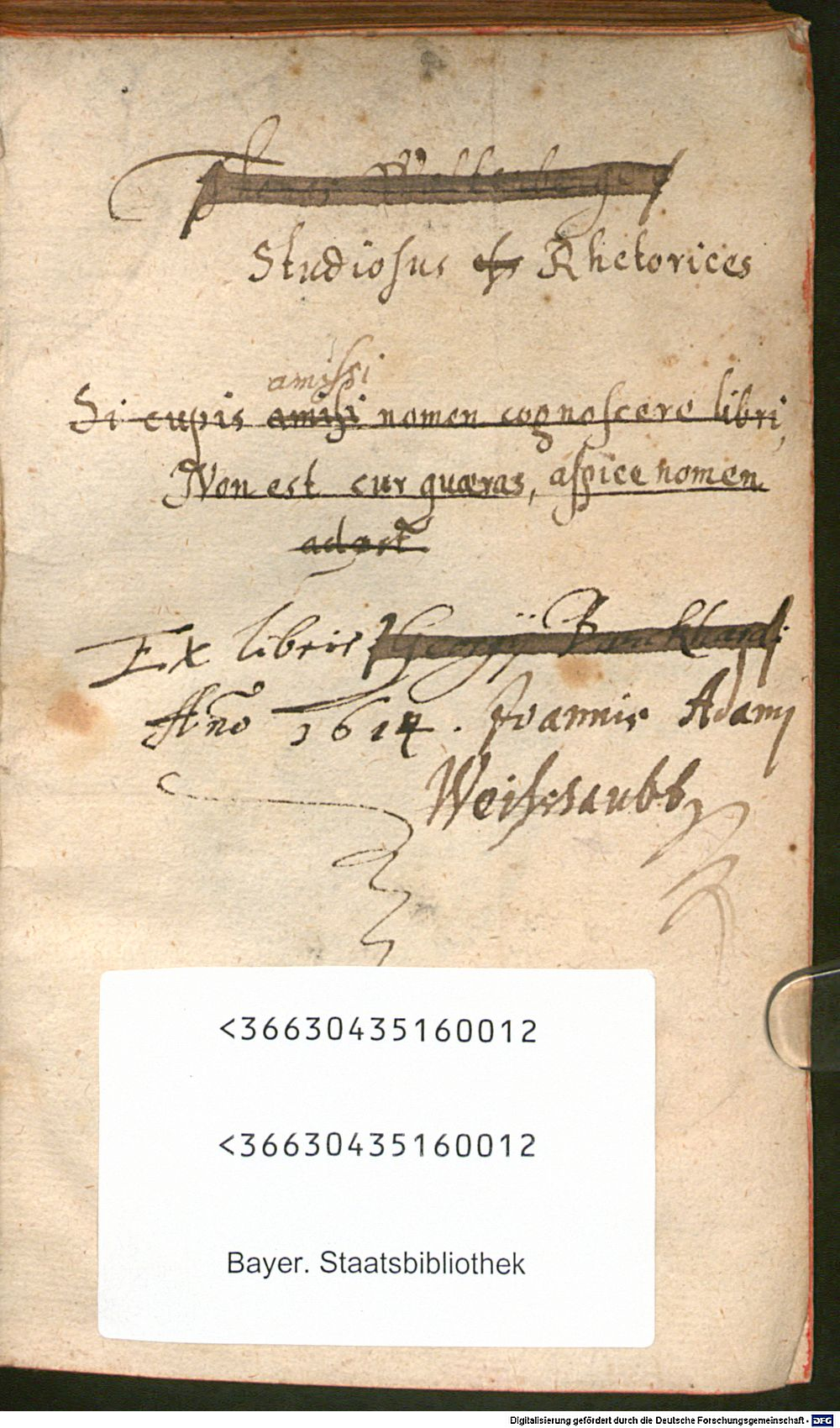 Image