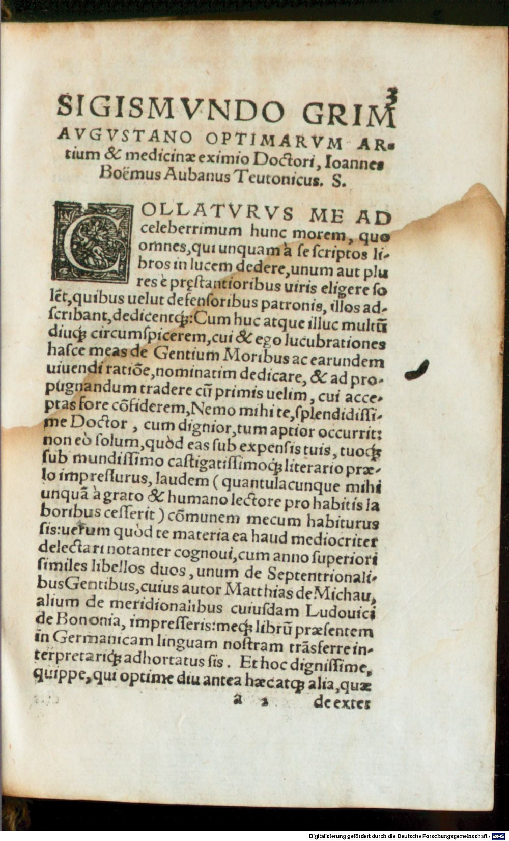Image