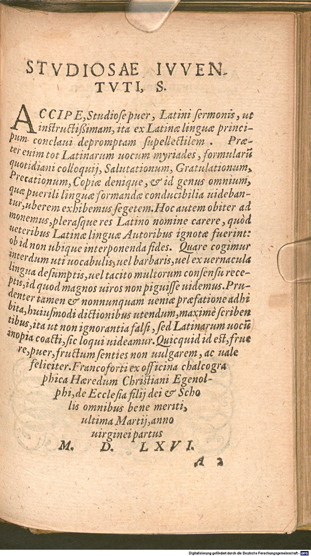Image