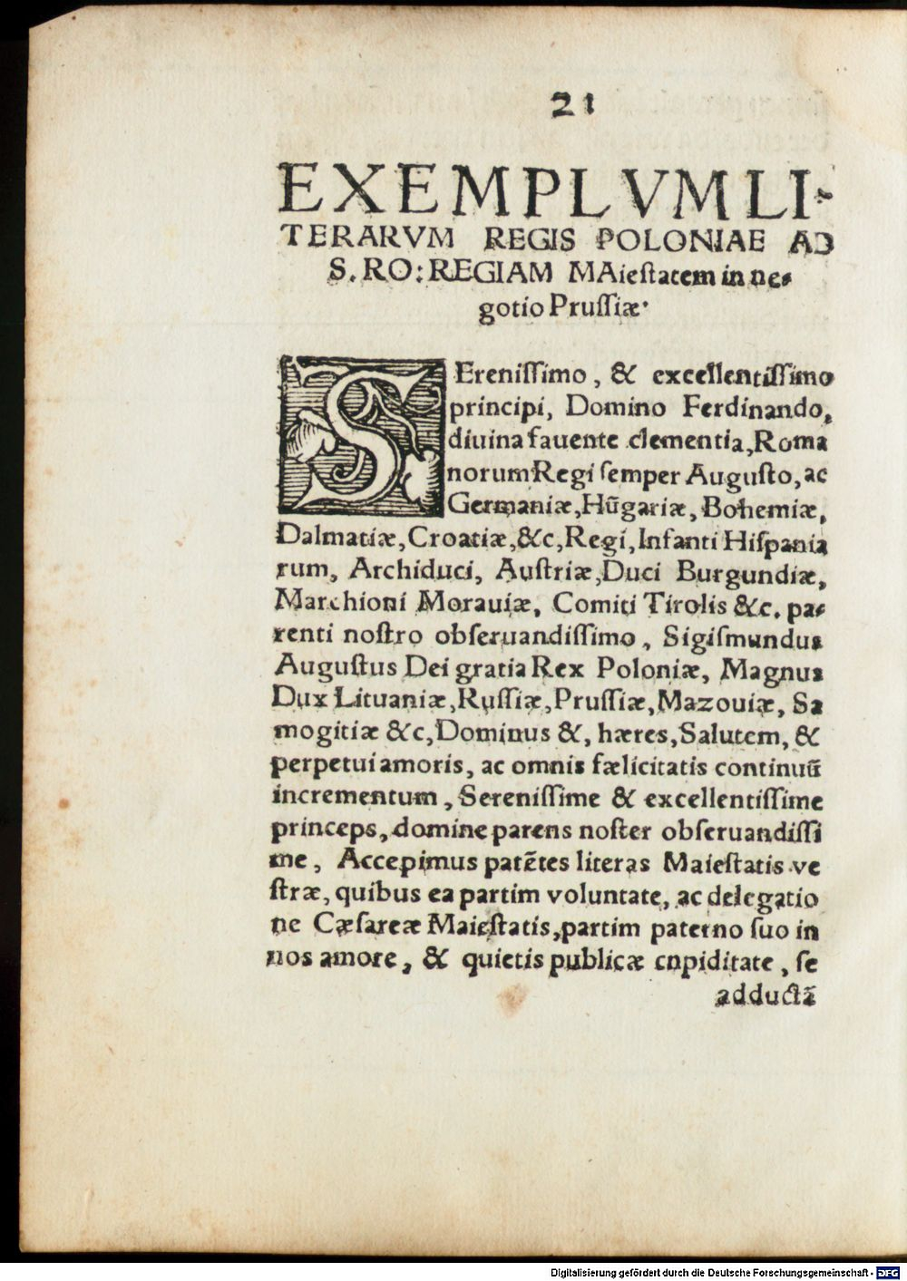 Image