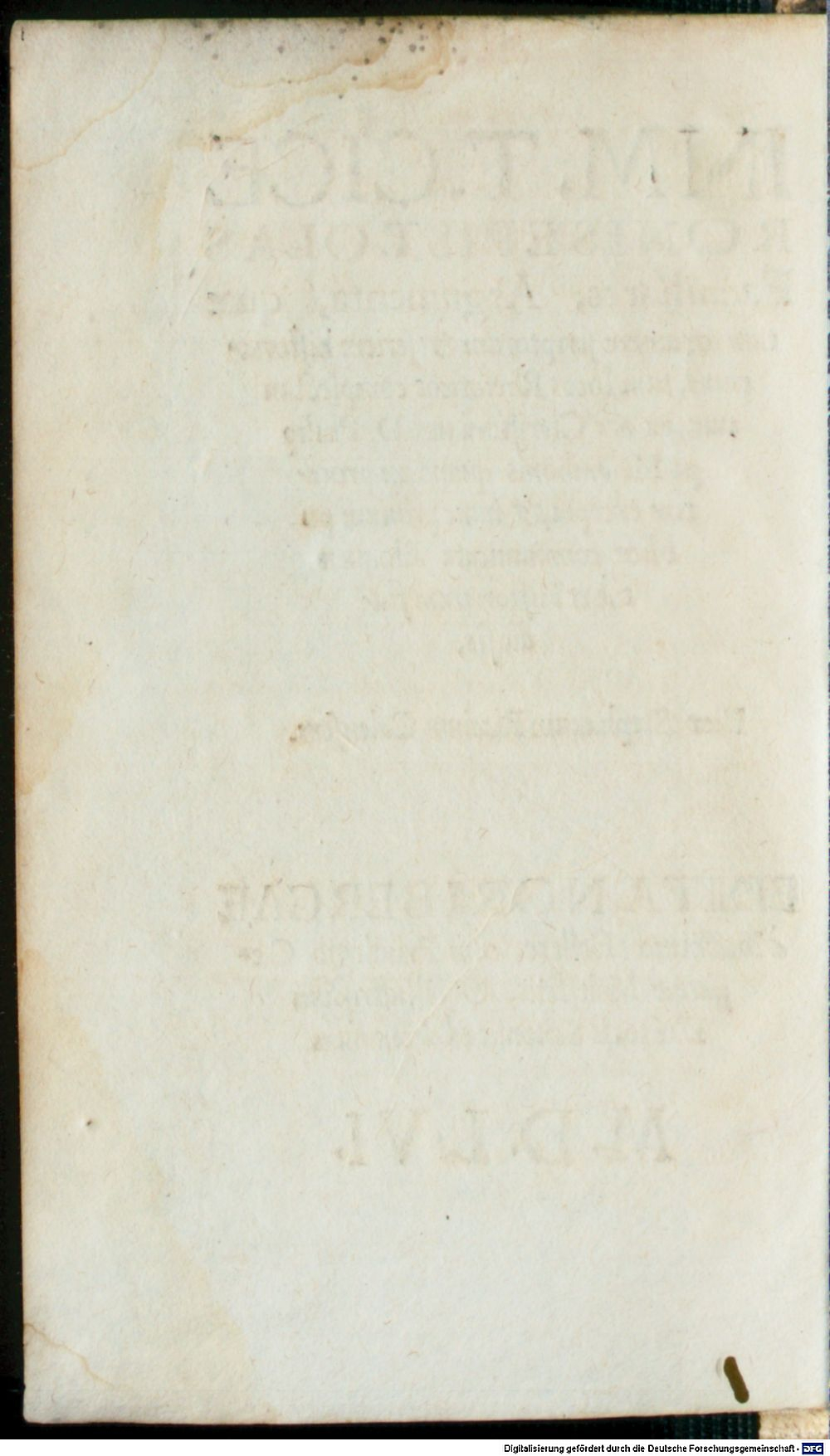 Image