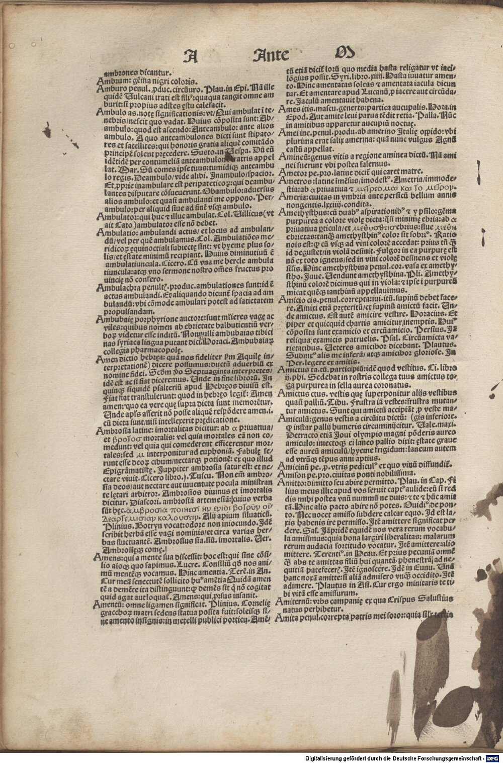 Image