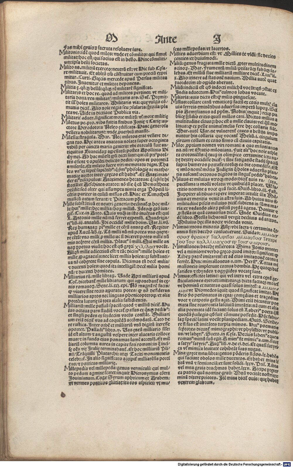 Image