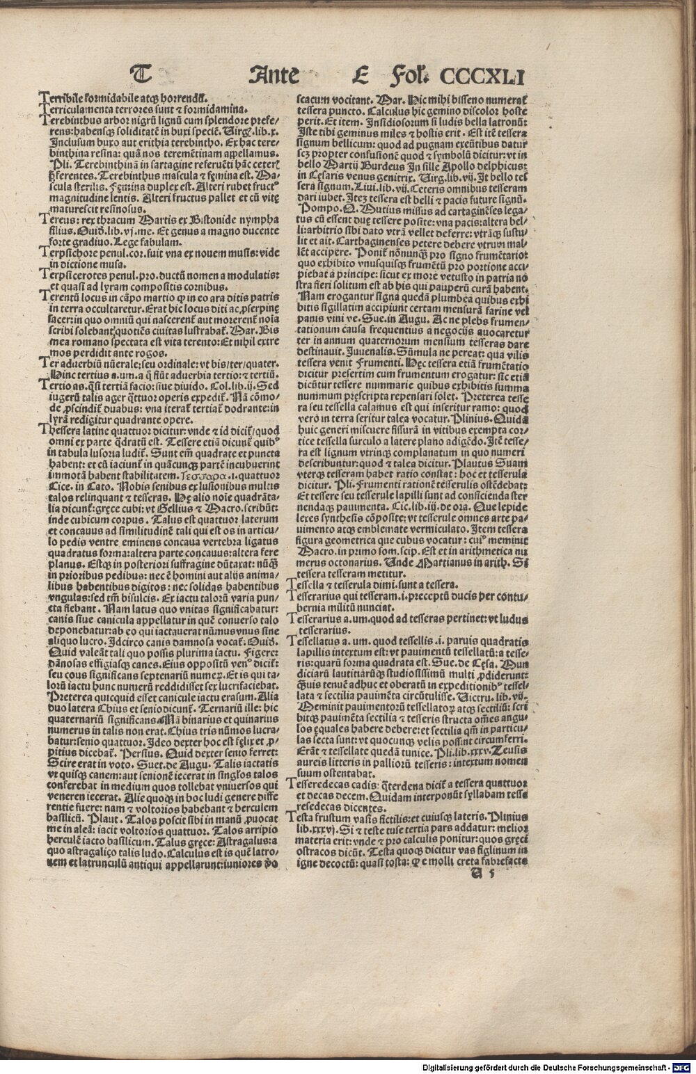 Image