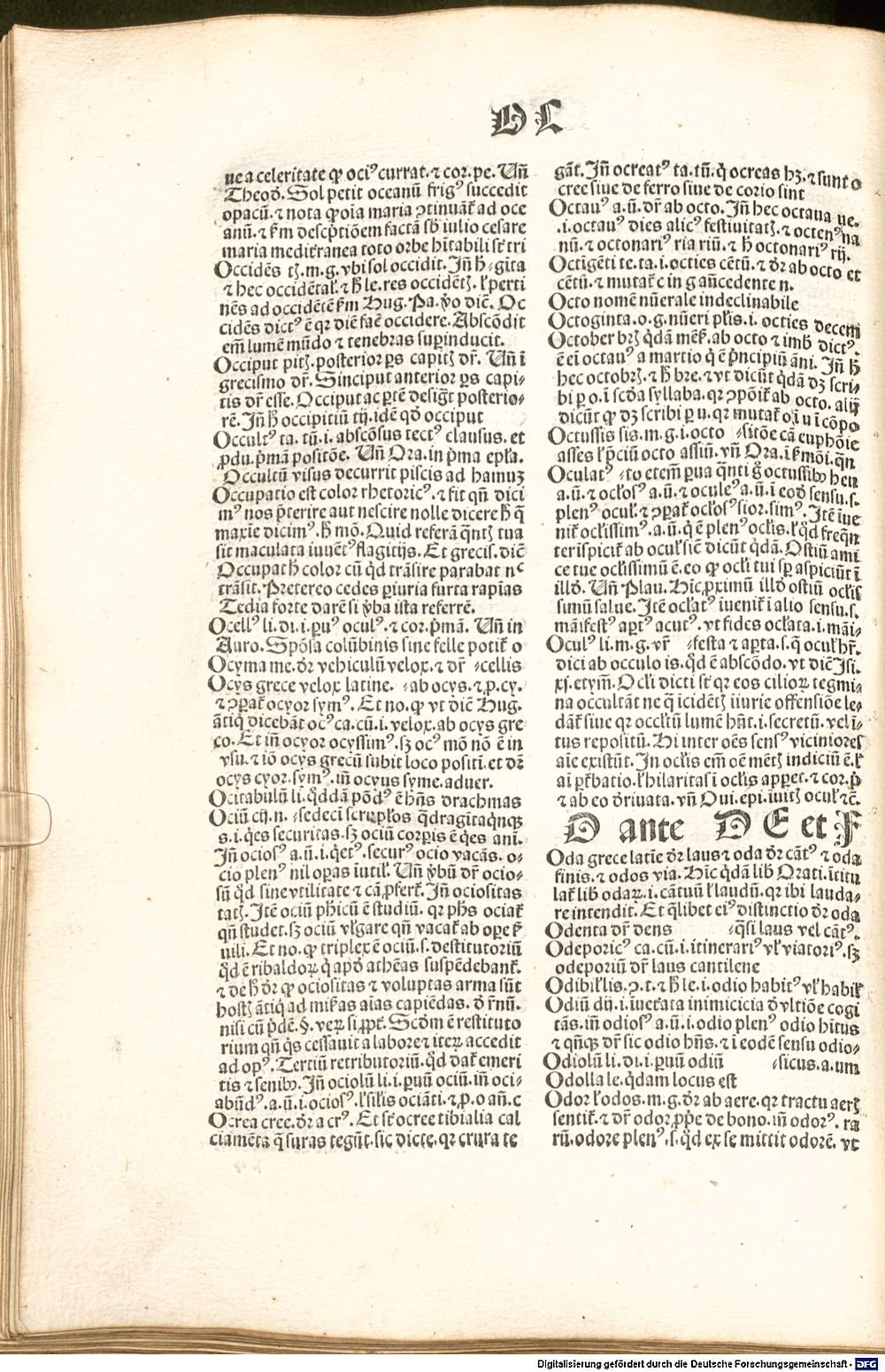 Image