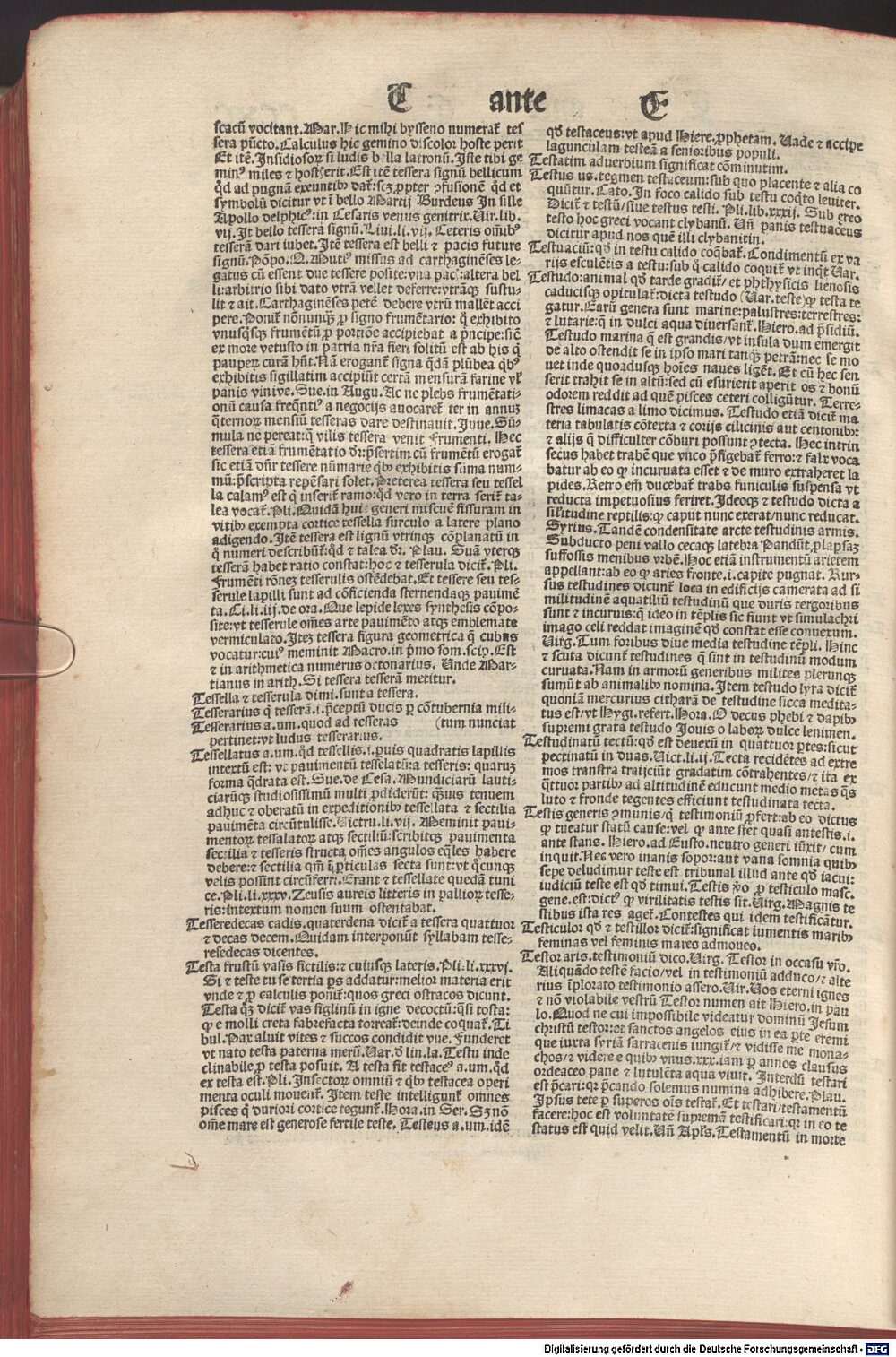 Image