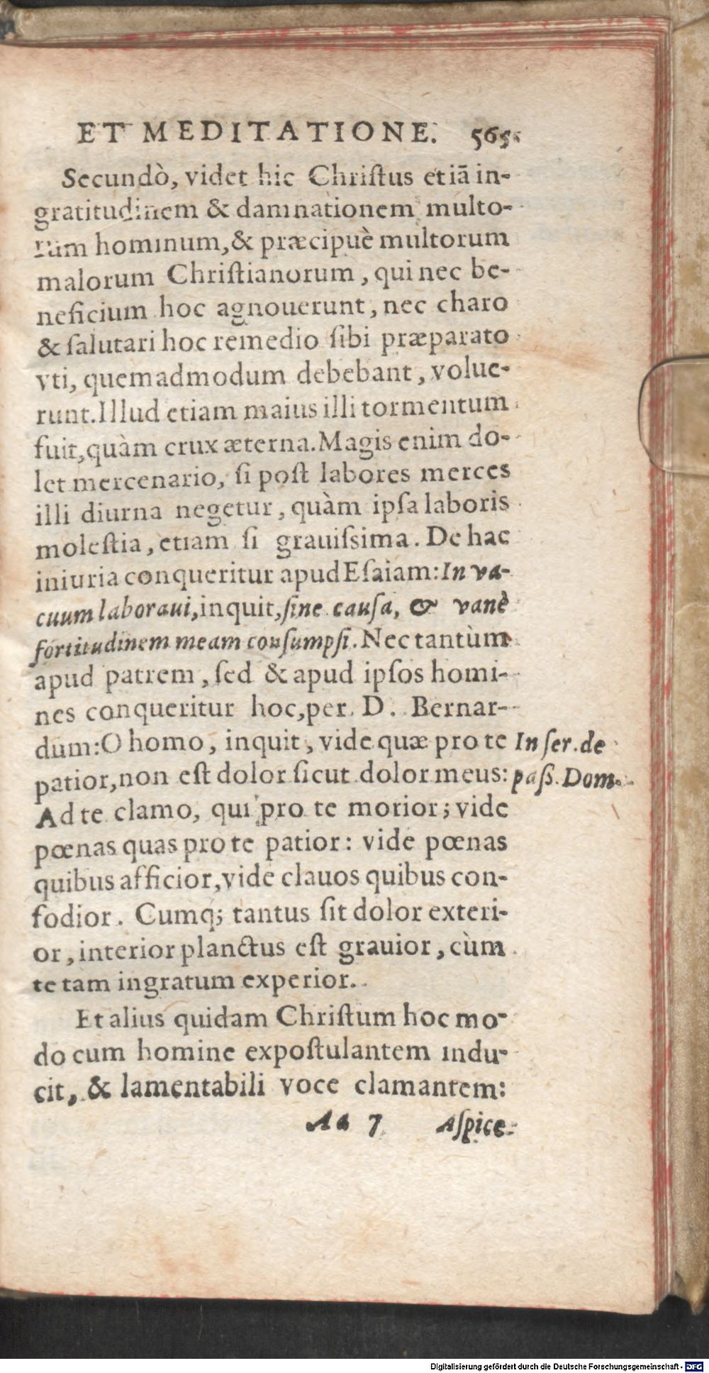 Image