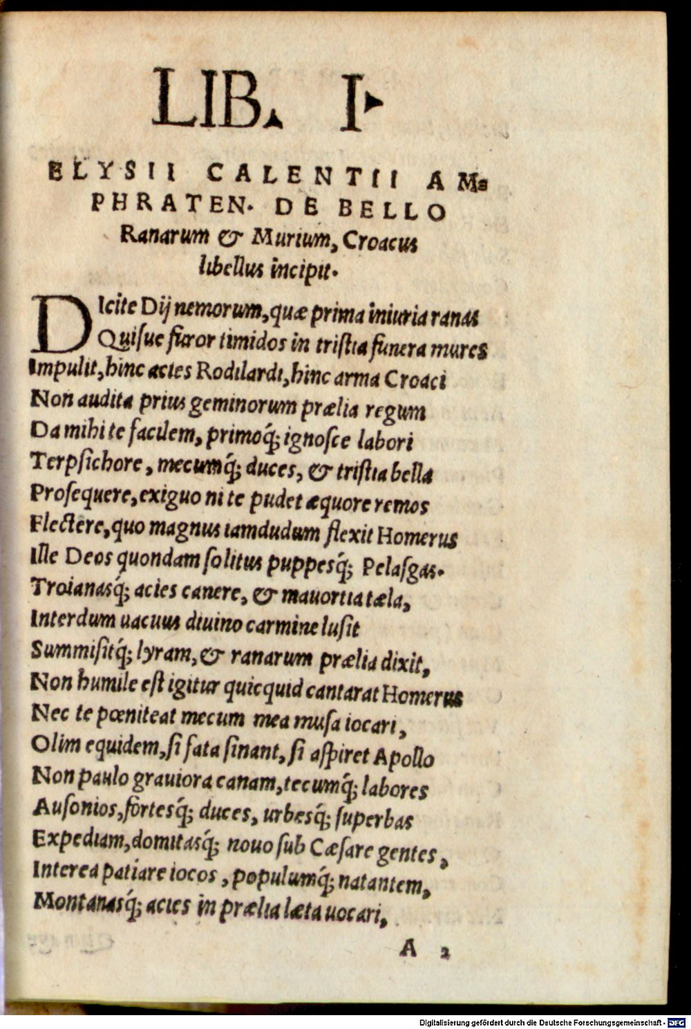 Image