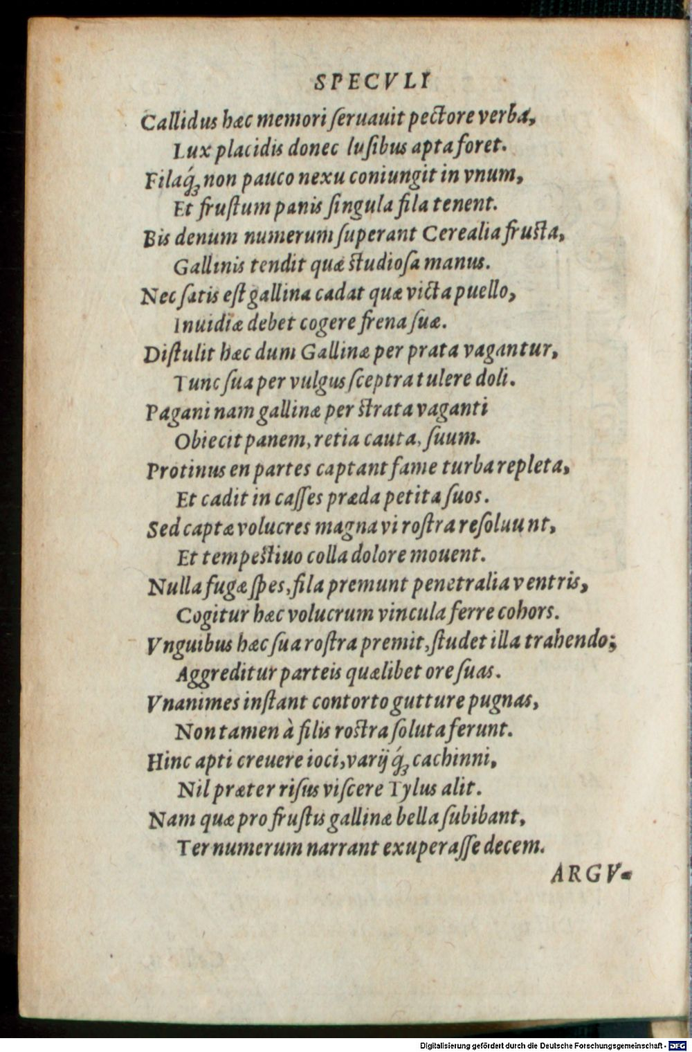 Image