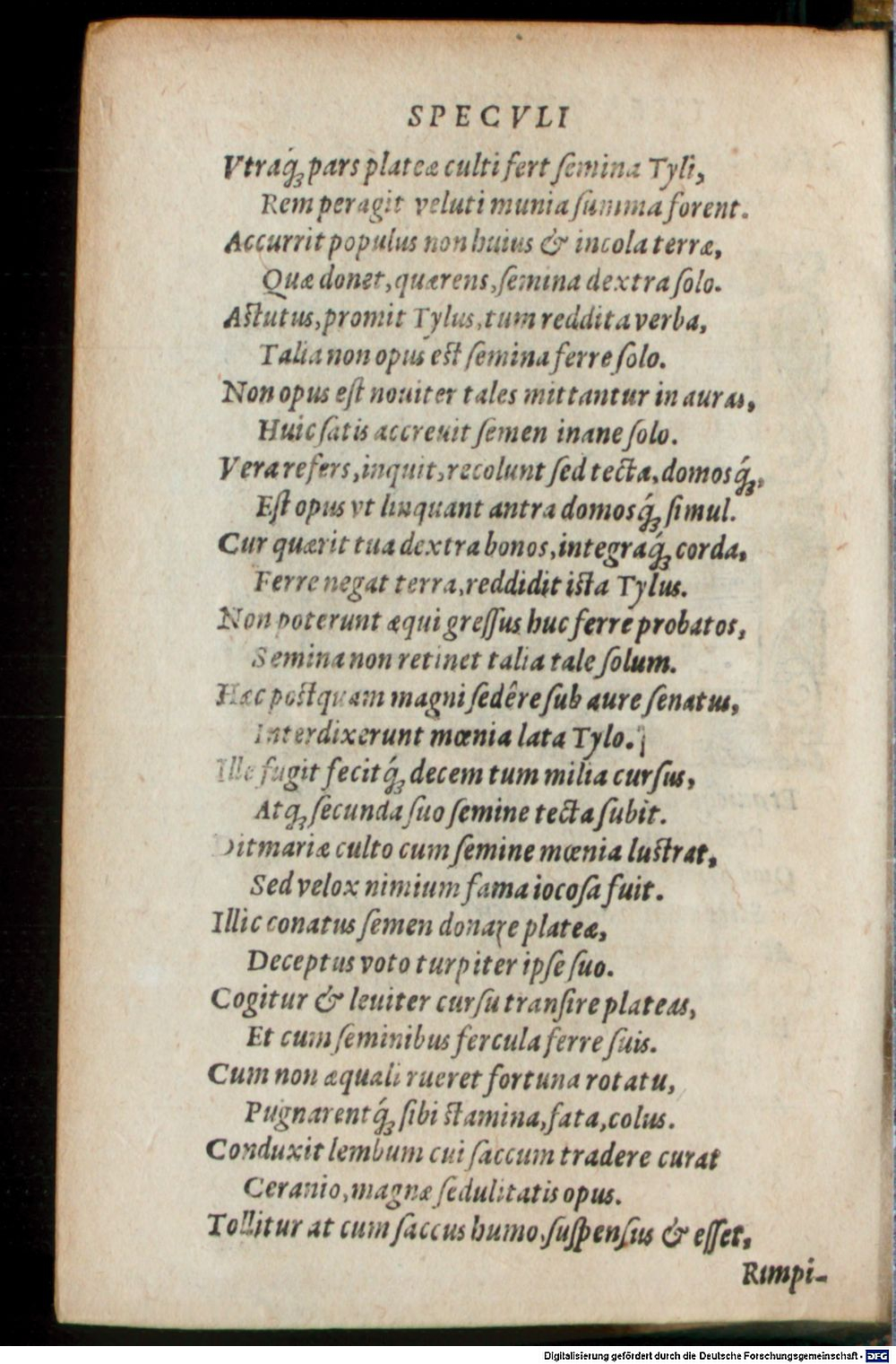 Image