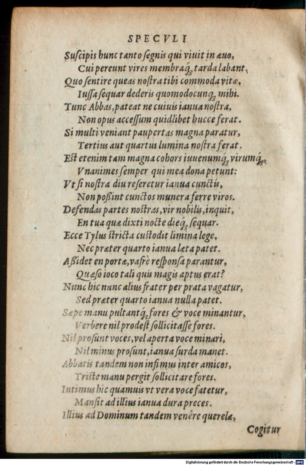 Image