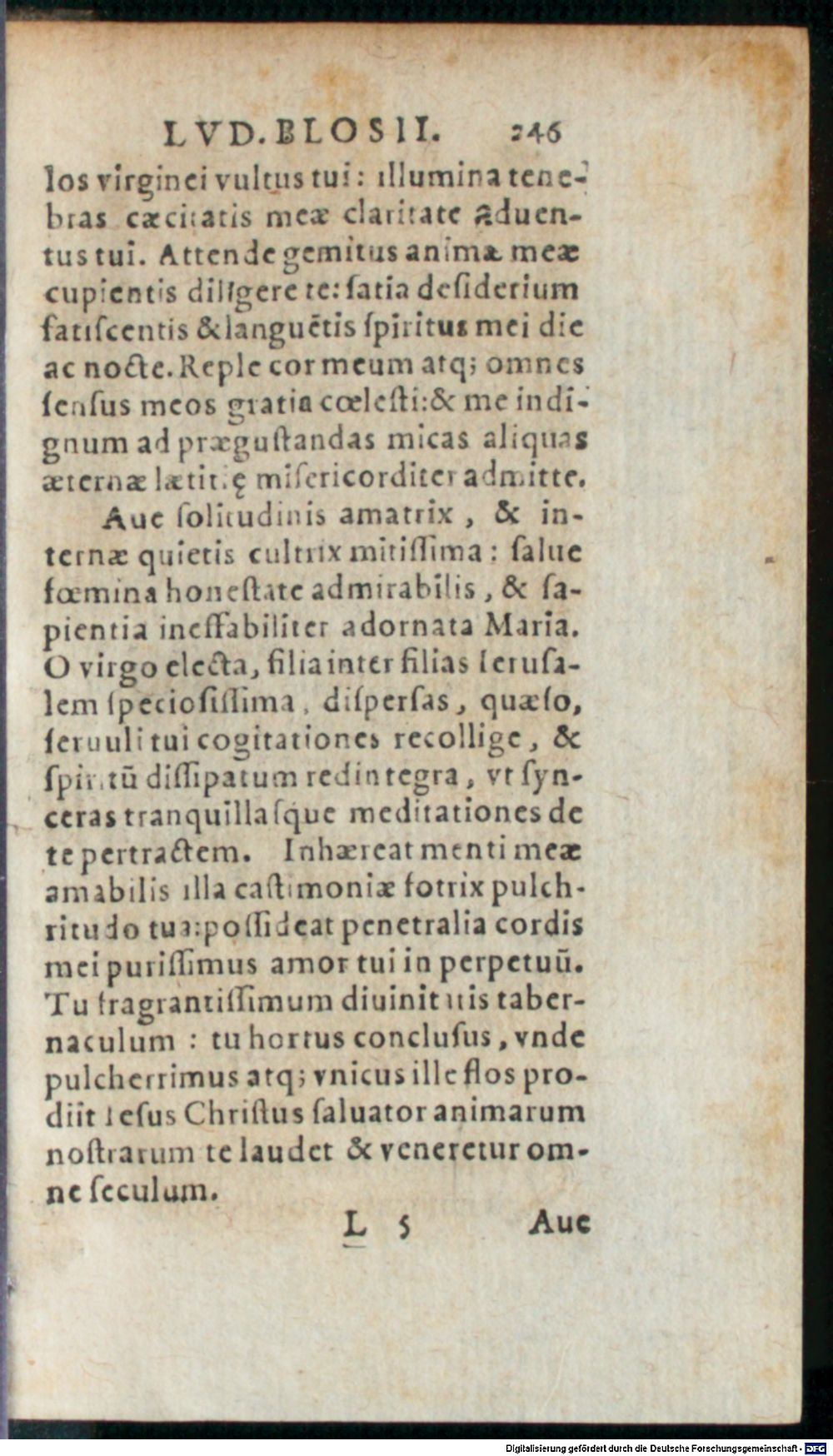 Image