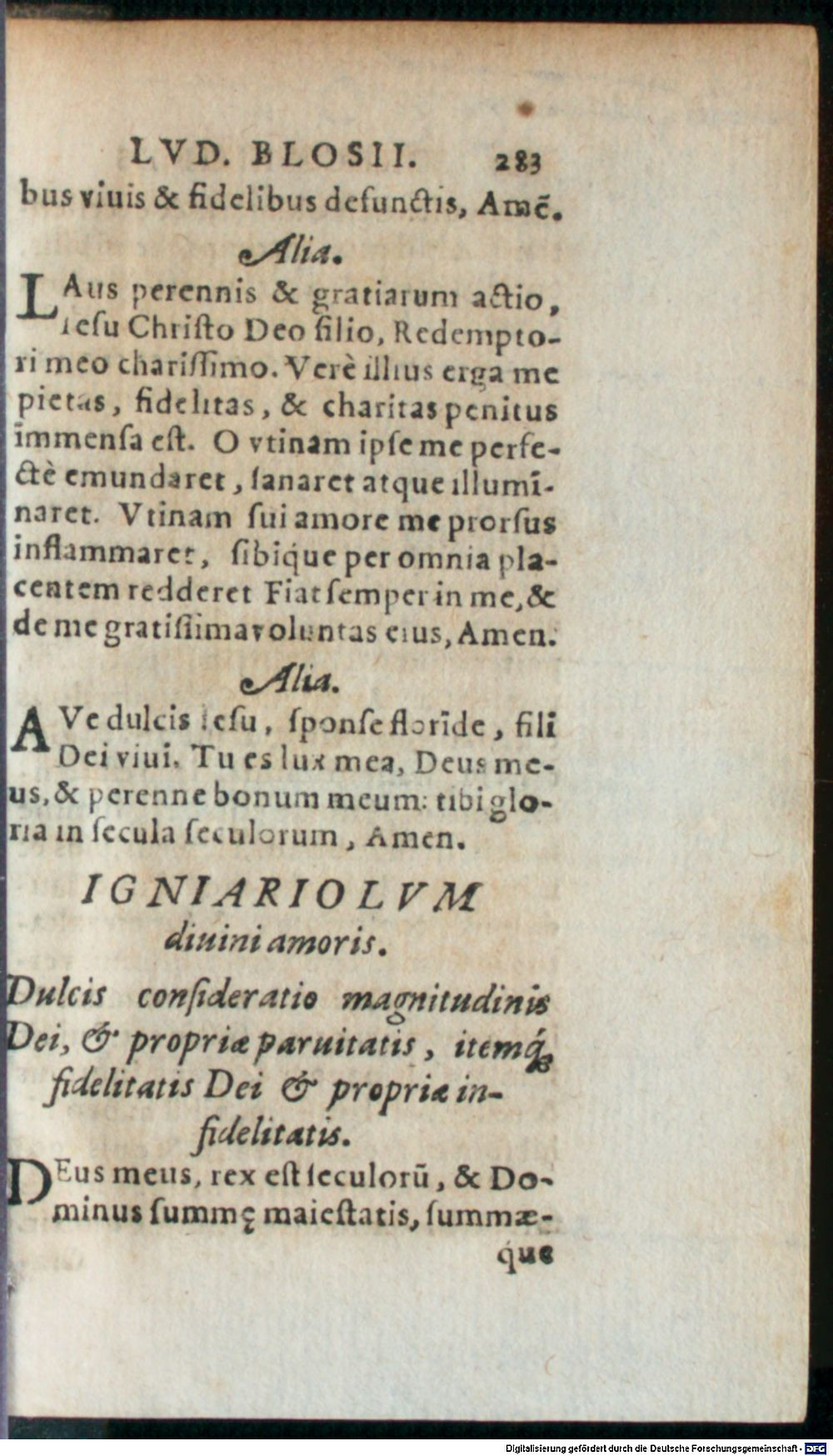 Image