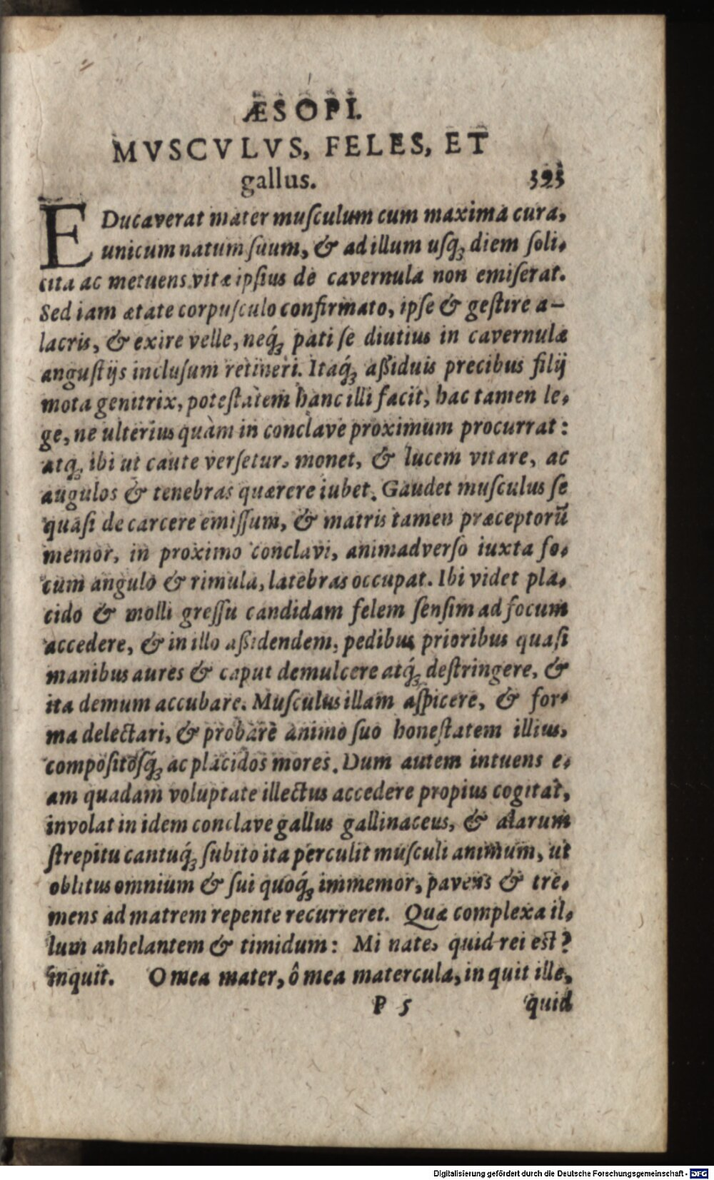 Image
