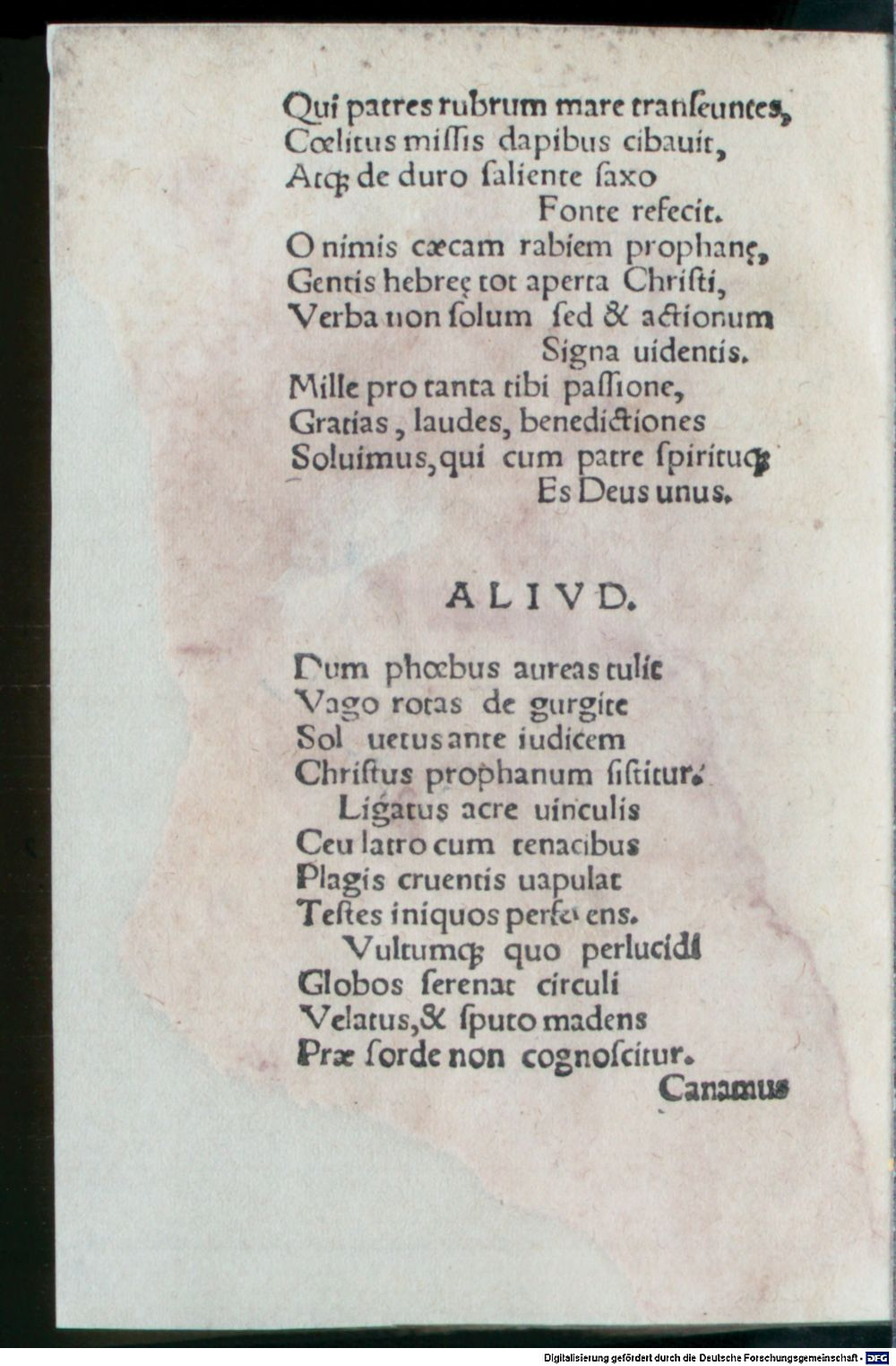 Image