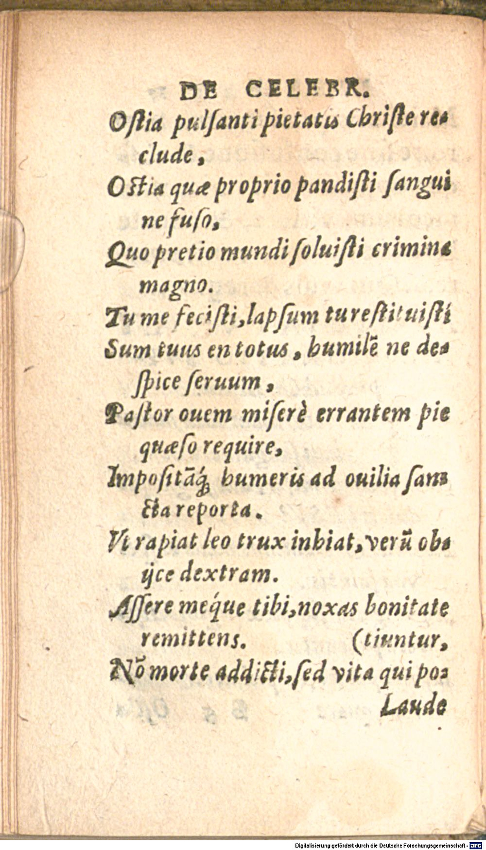 Image