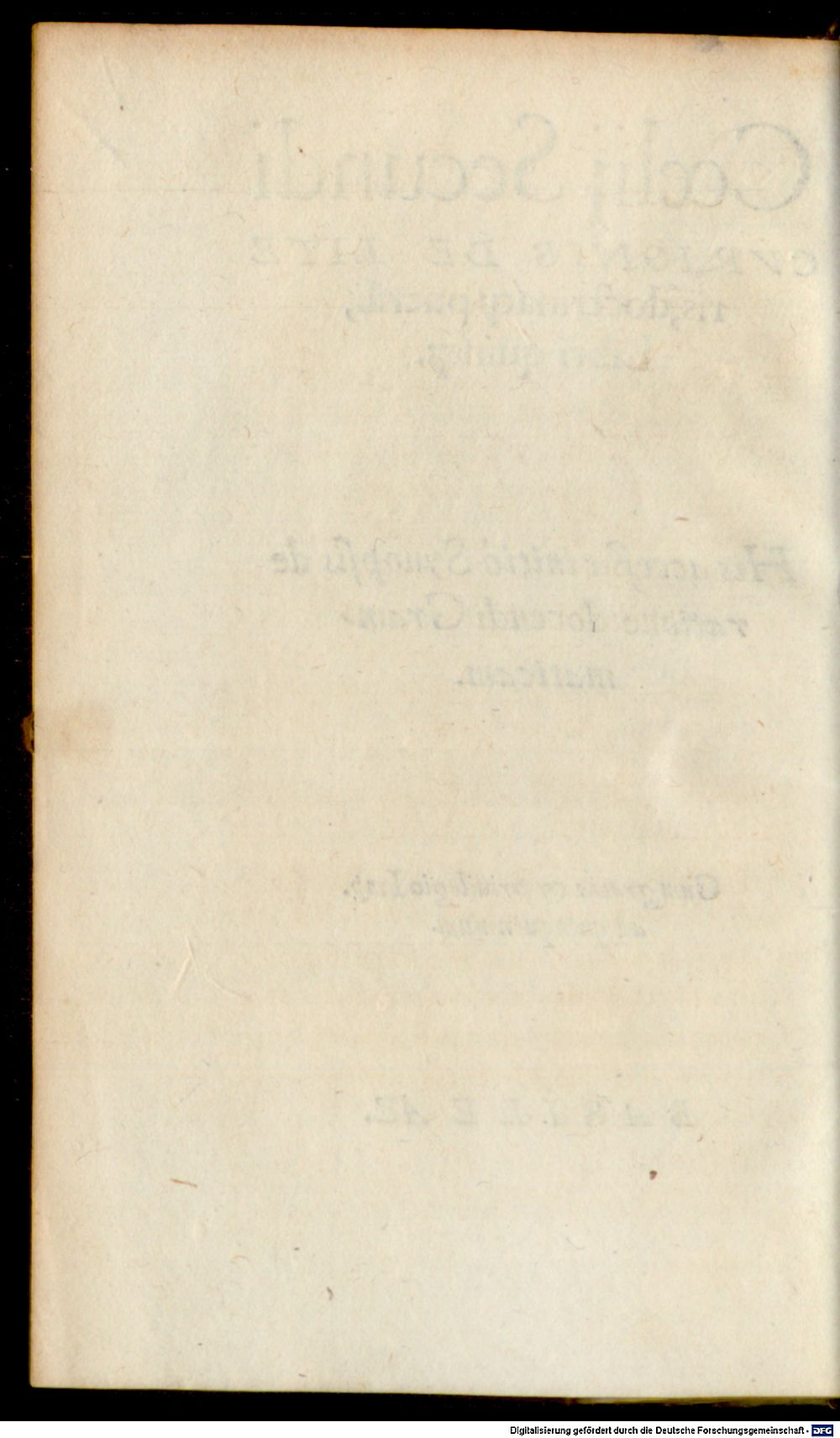 Image