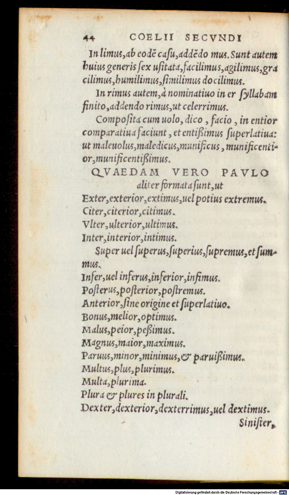 Image