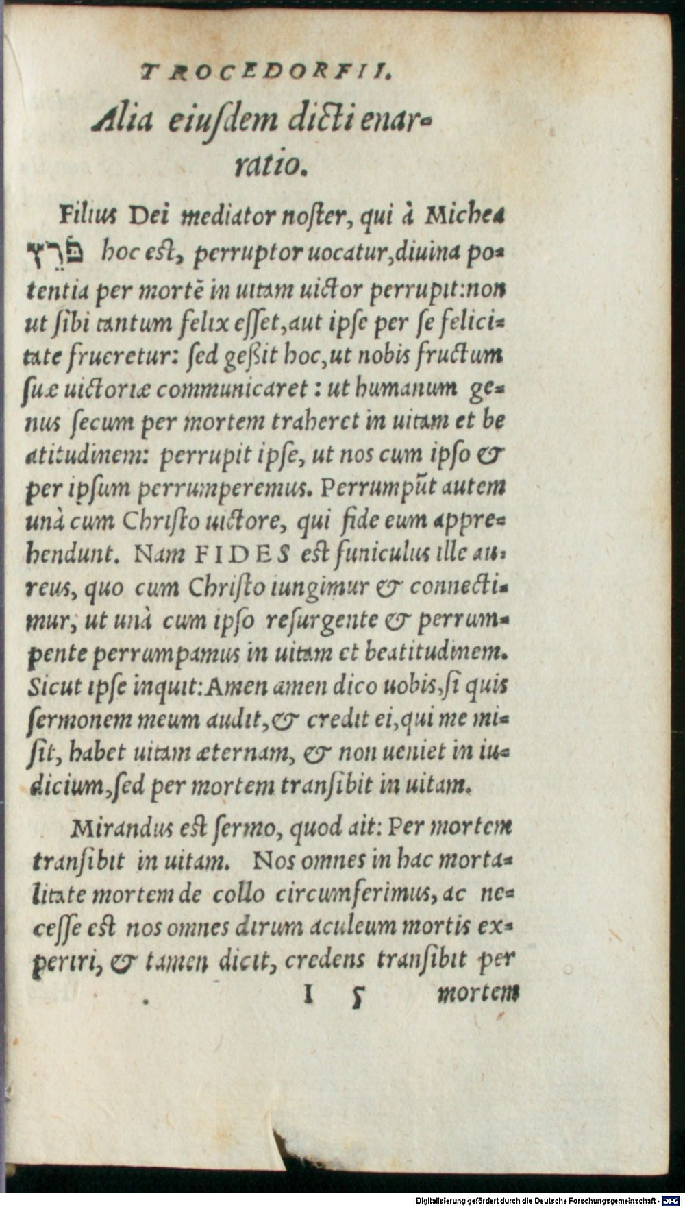 Image
