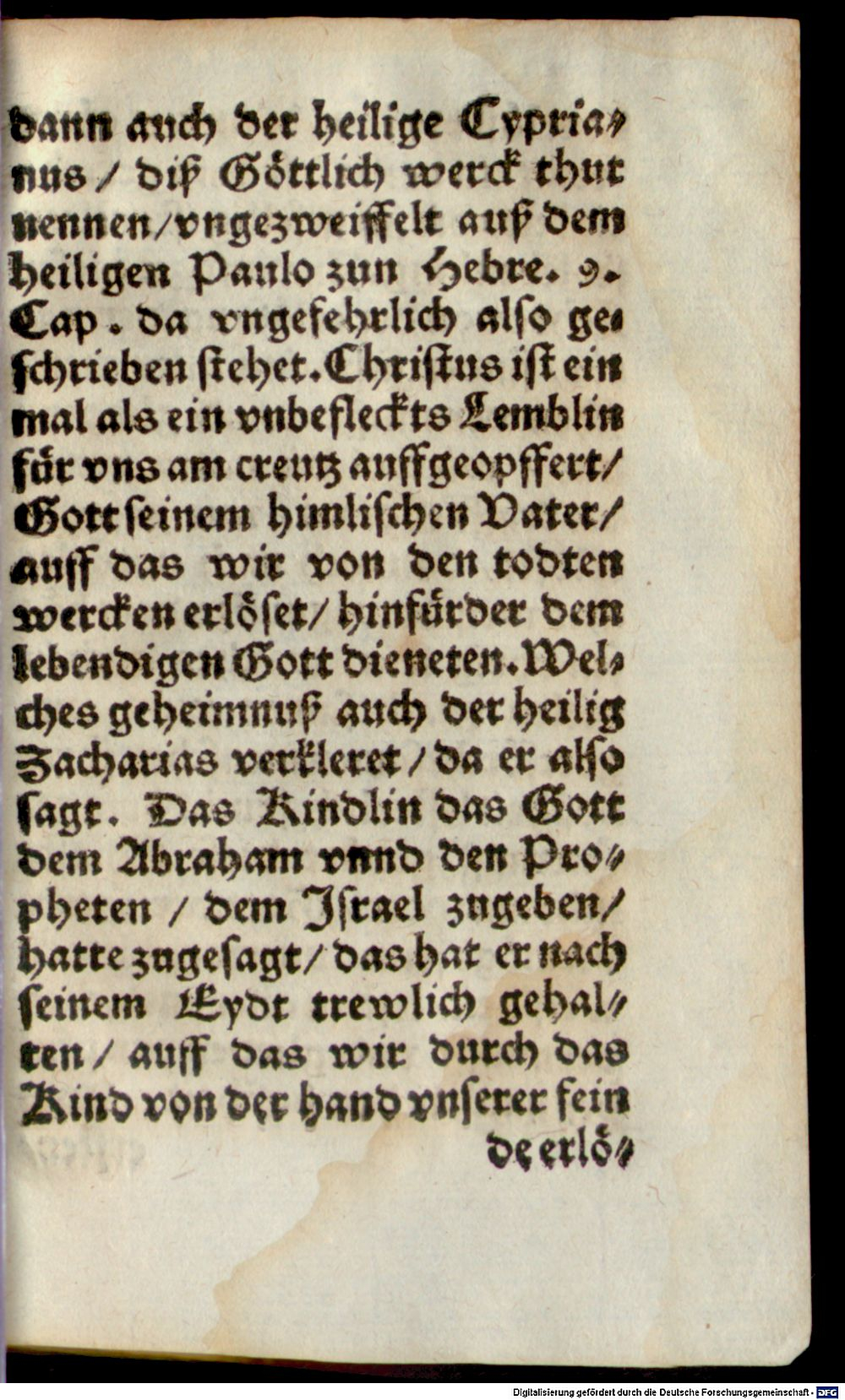 Image