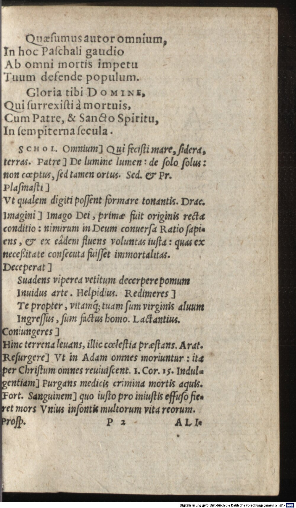 Image