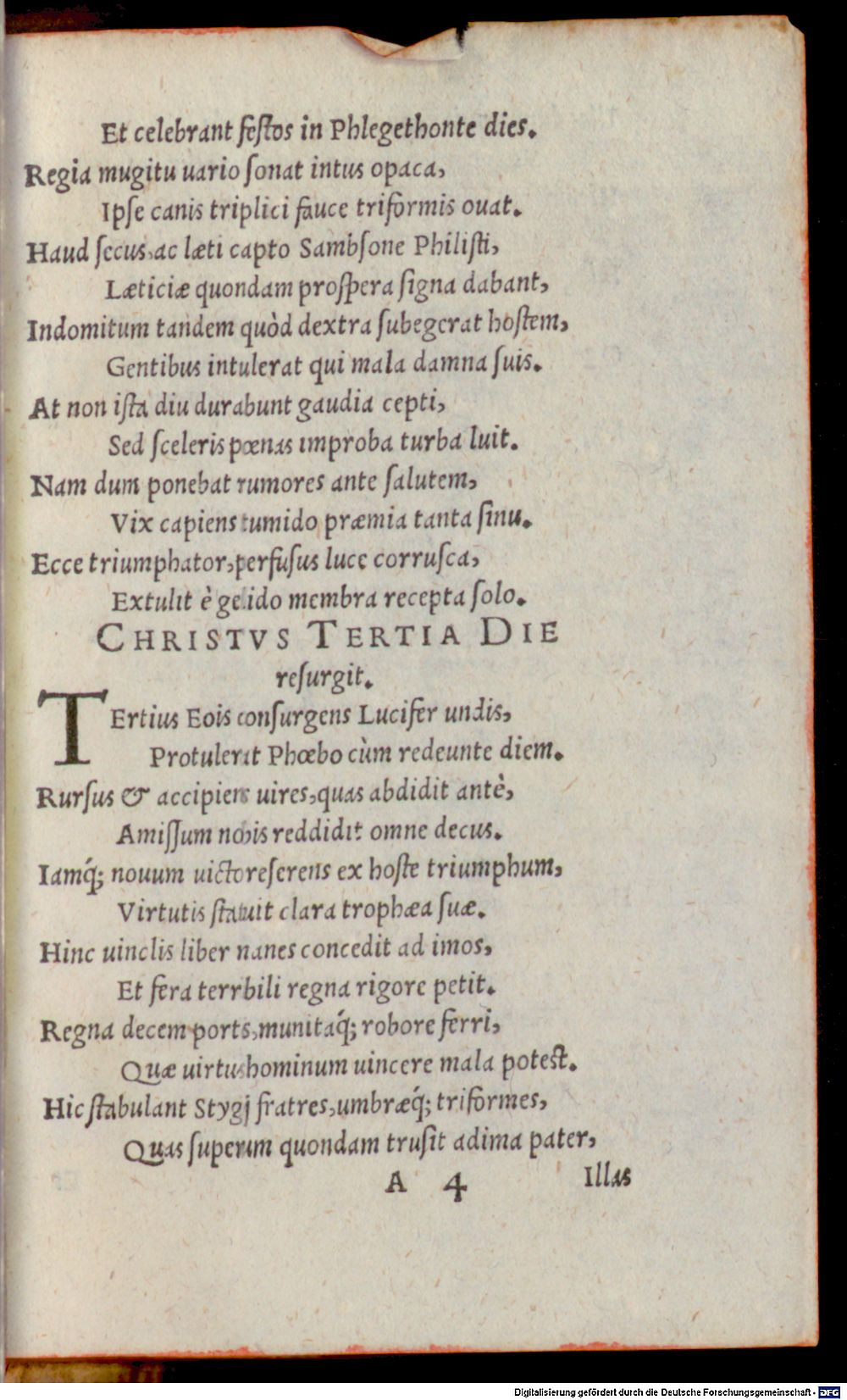Image