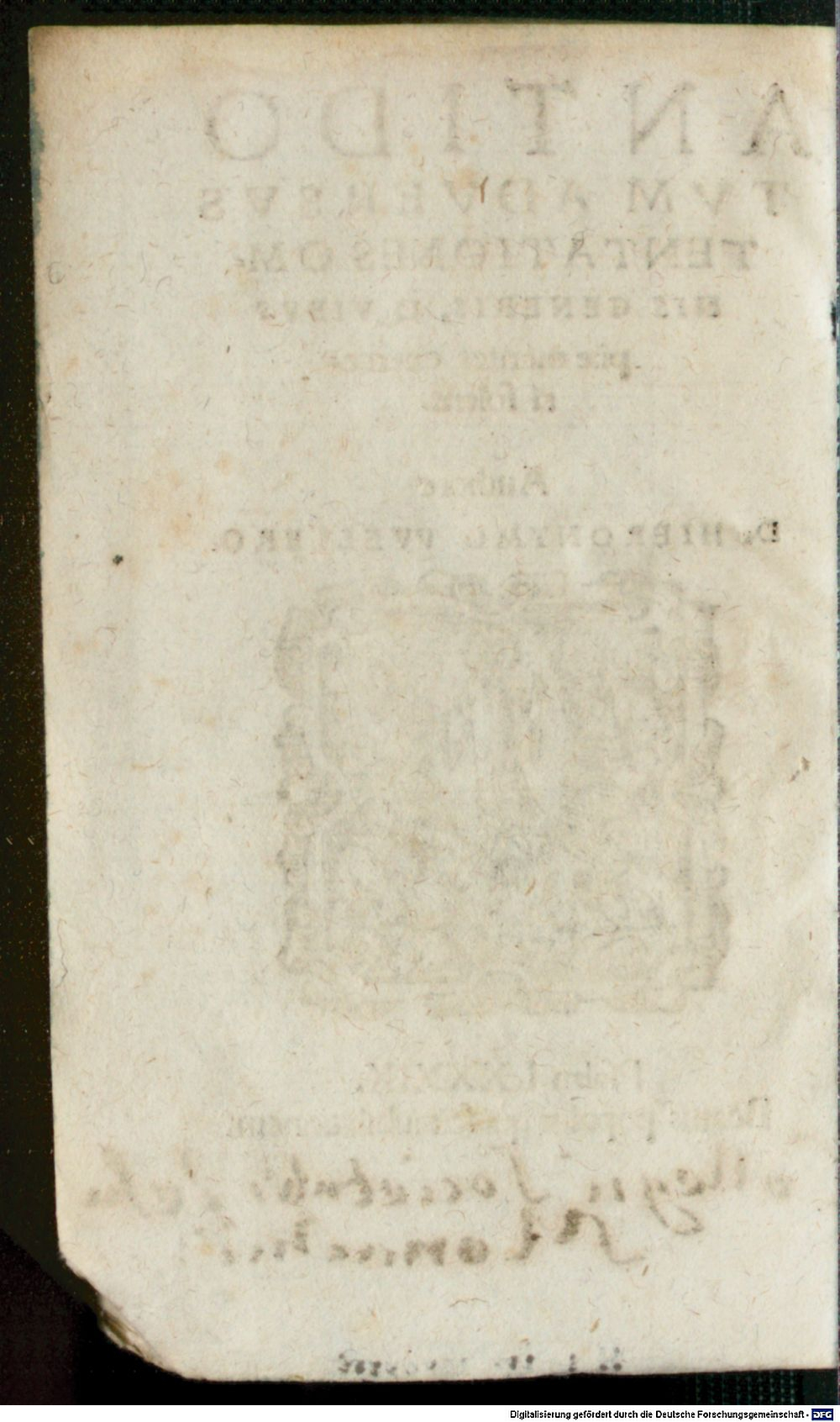 Image
