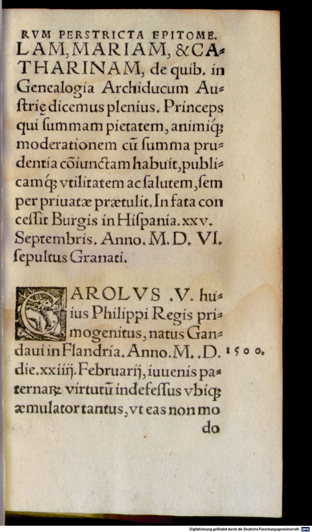 Image