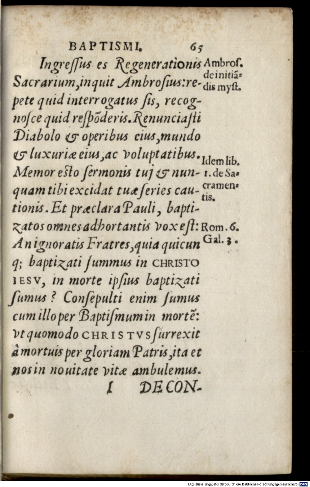 Image