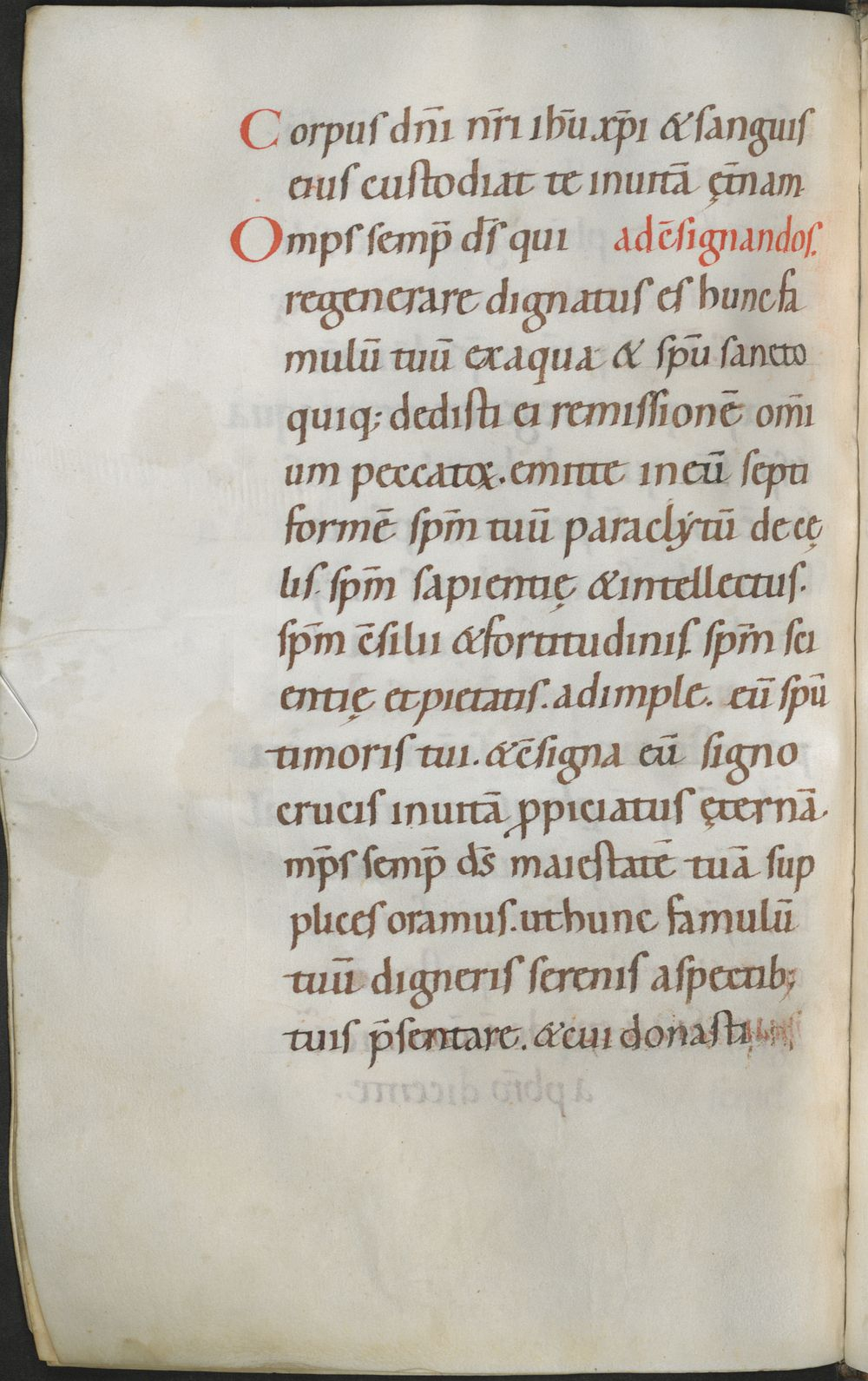 Image