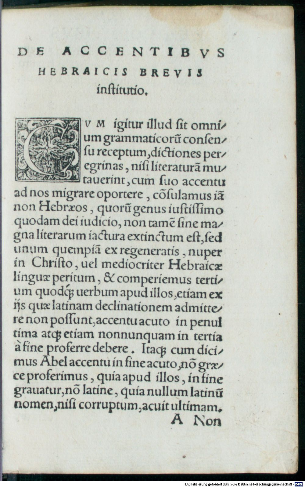 Image