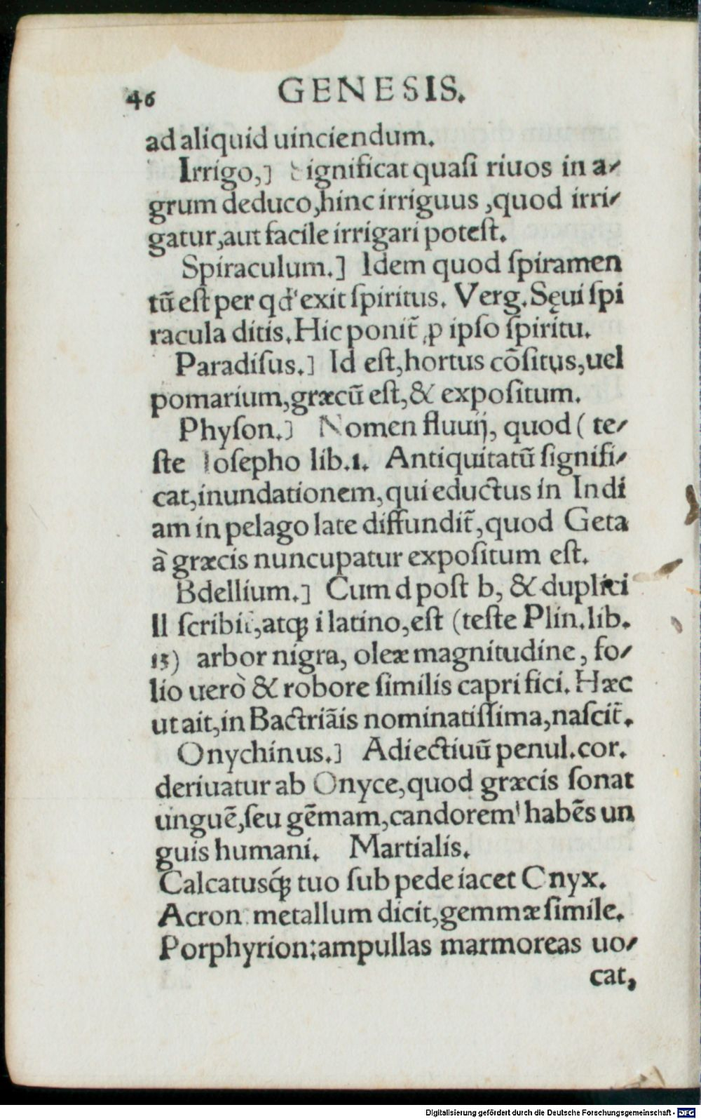 Image