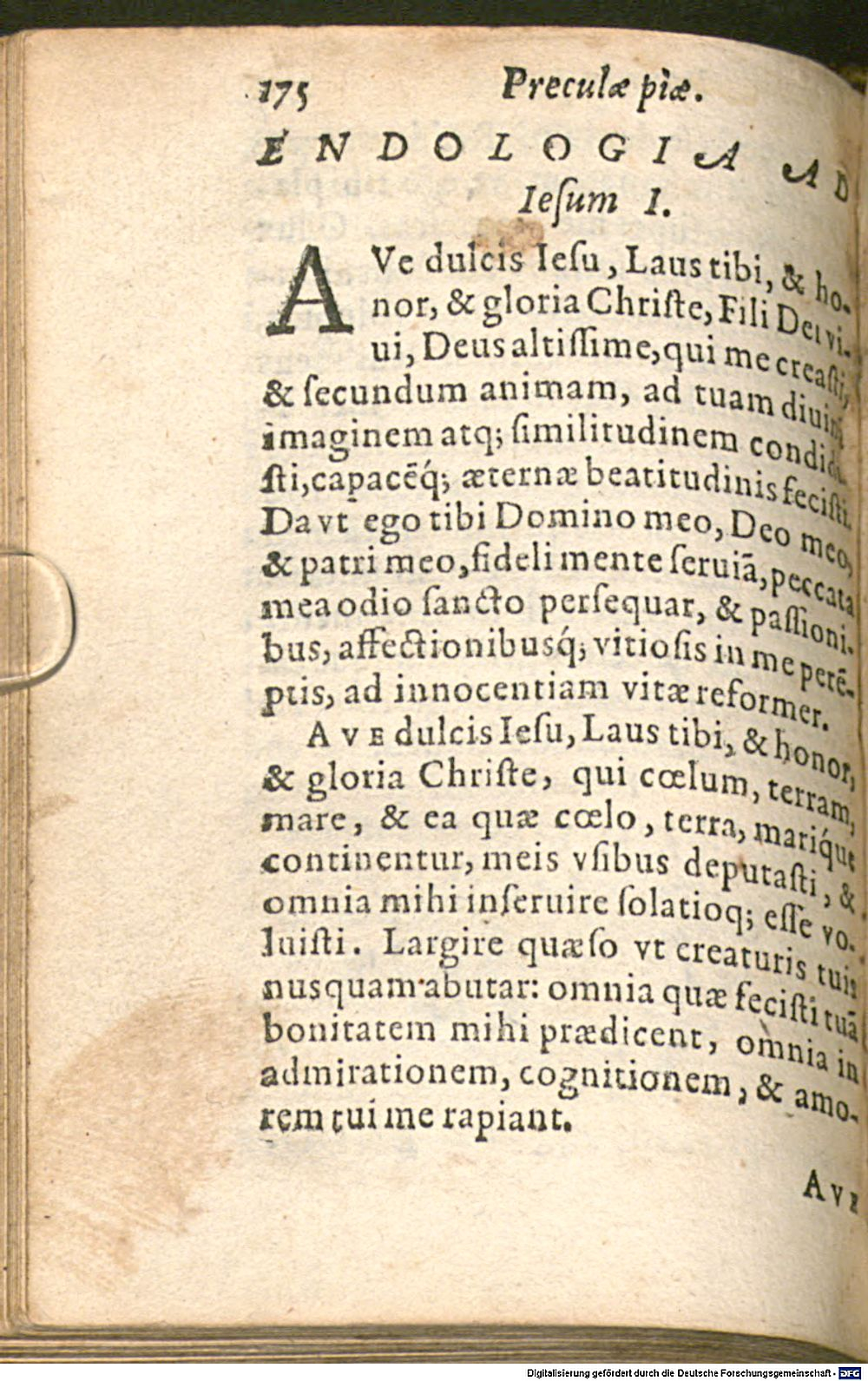 Image