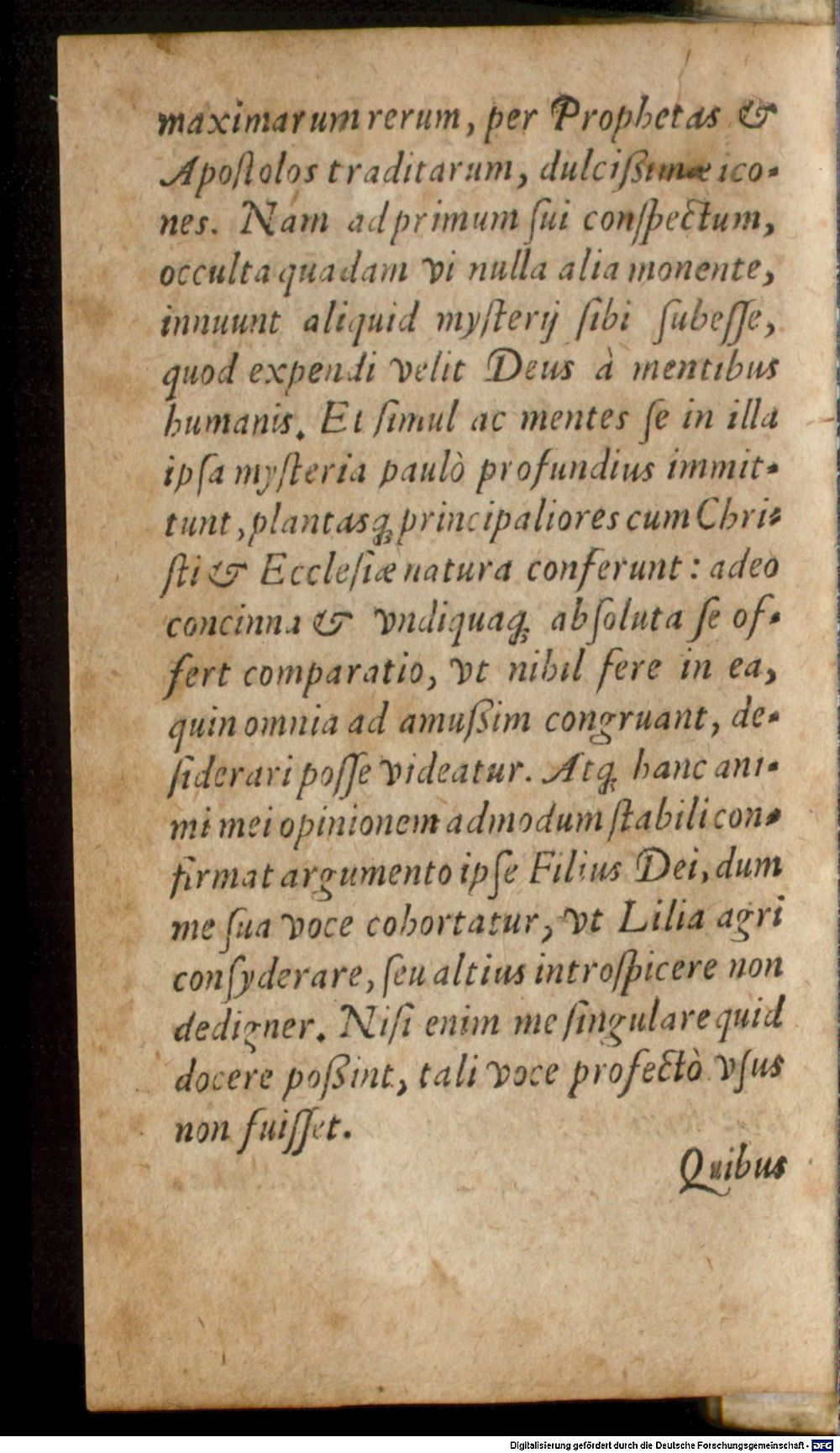 Image