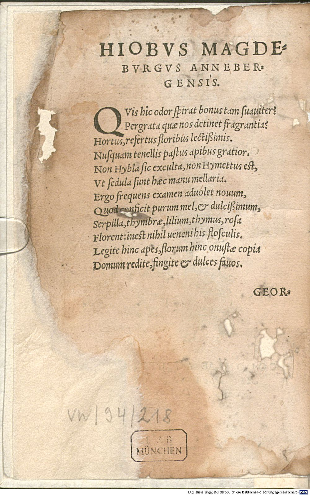 Image