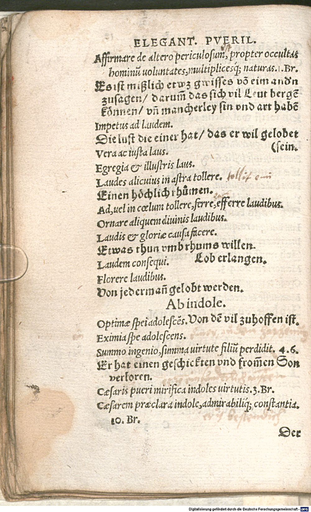 Image