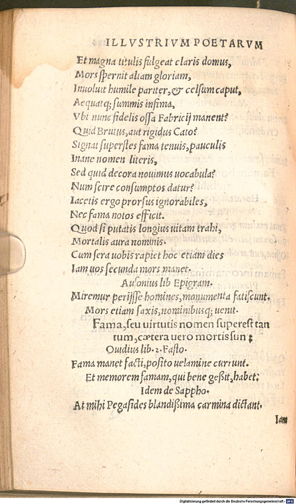 Image