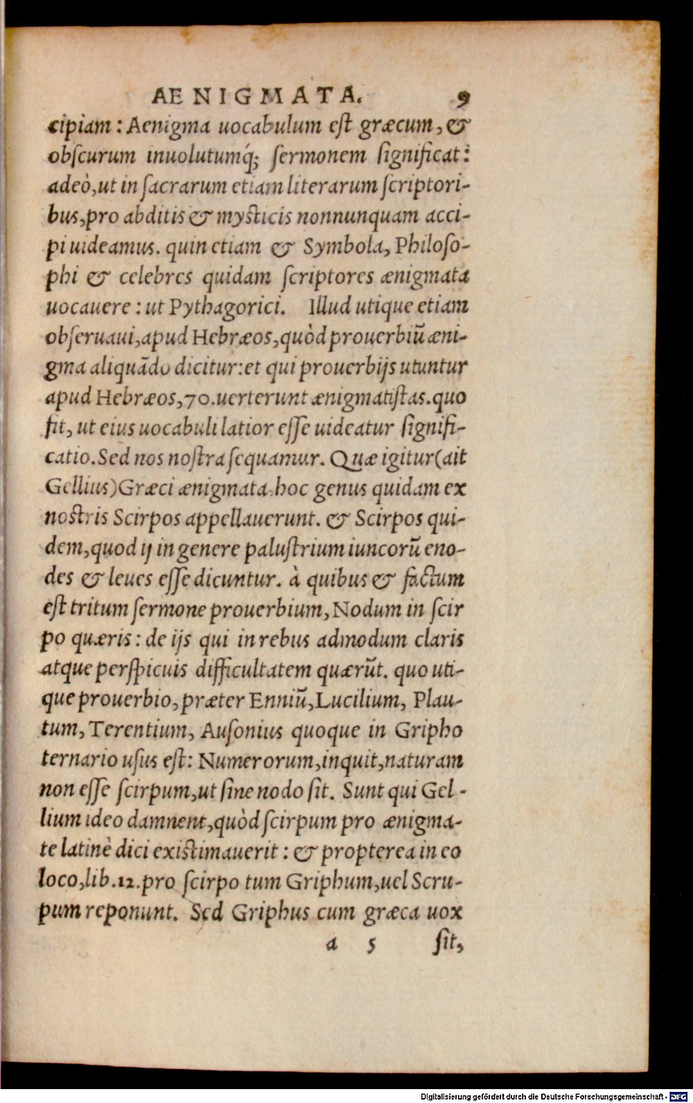 Image