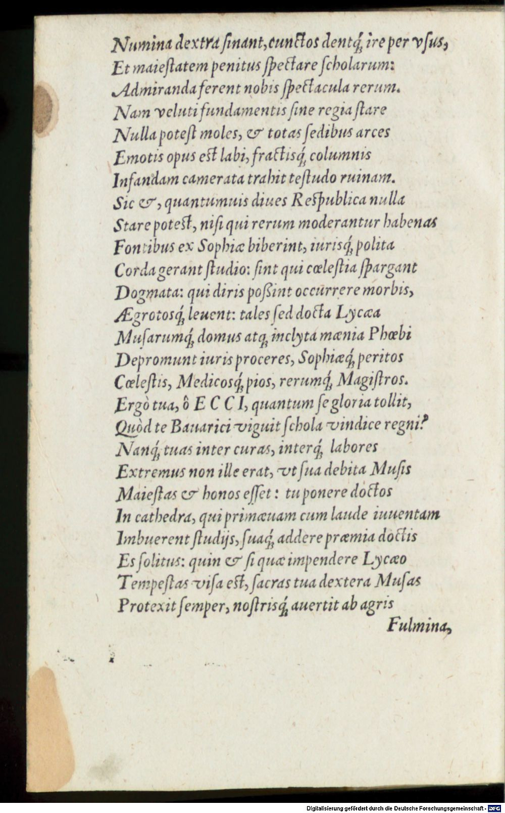 Image