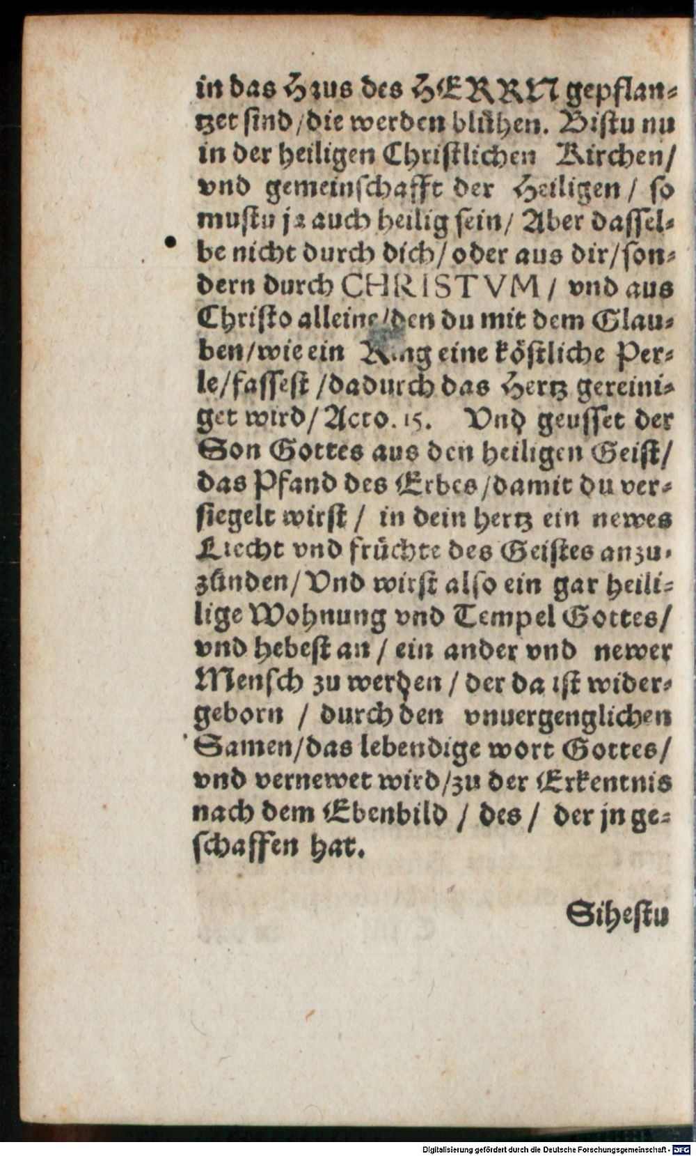 Image