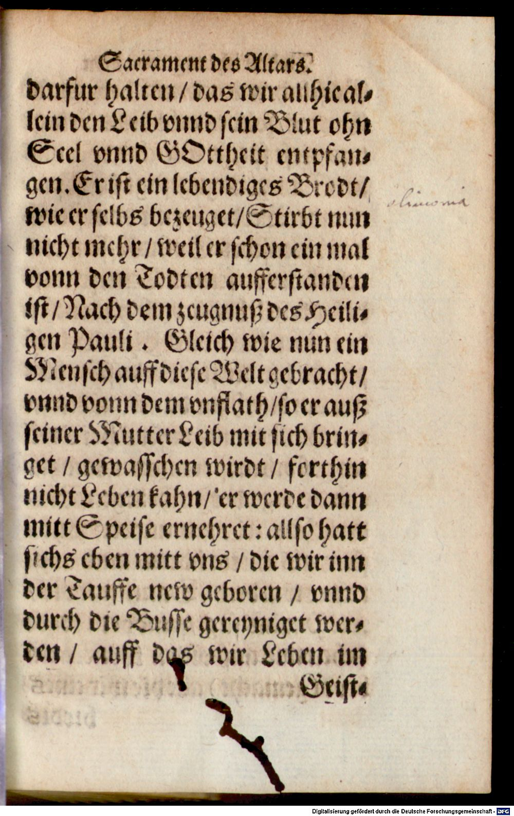 Image
