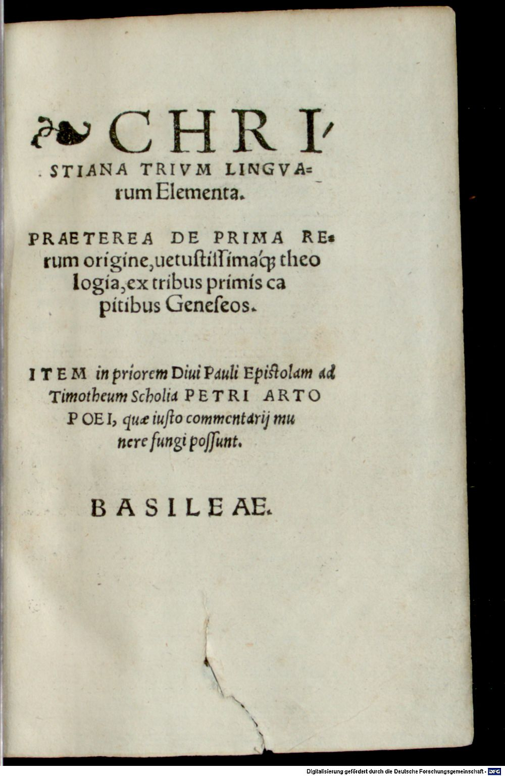 Image