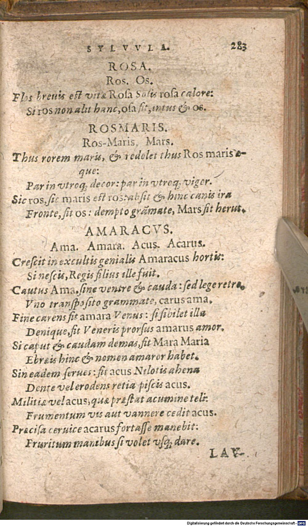 Image