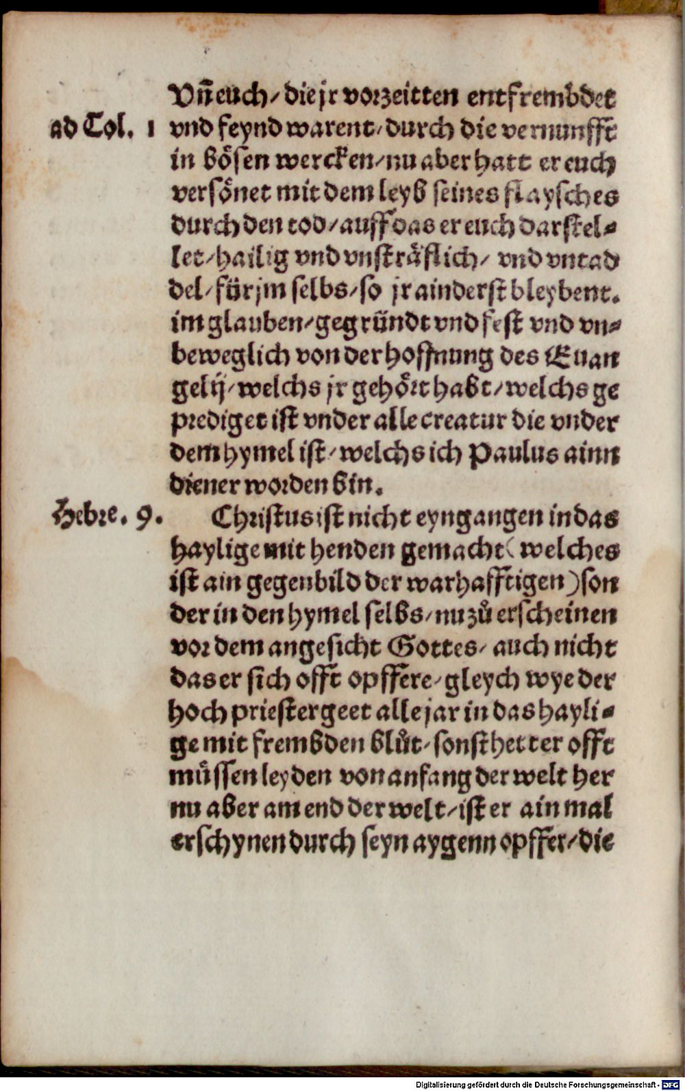 Image