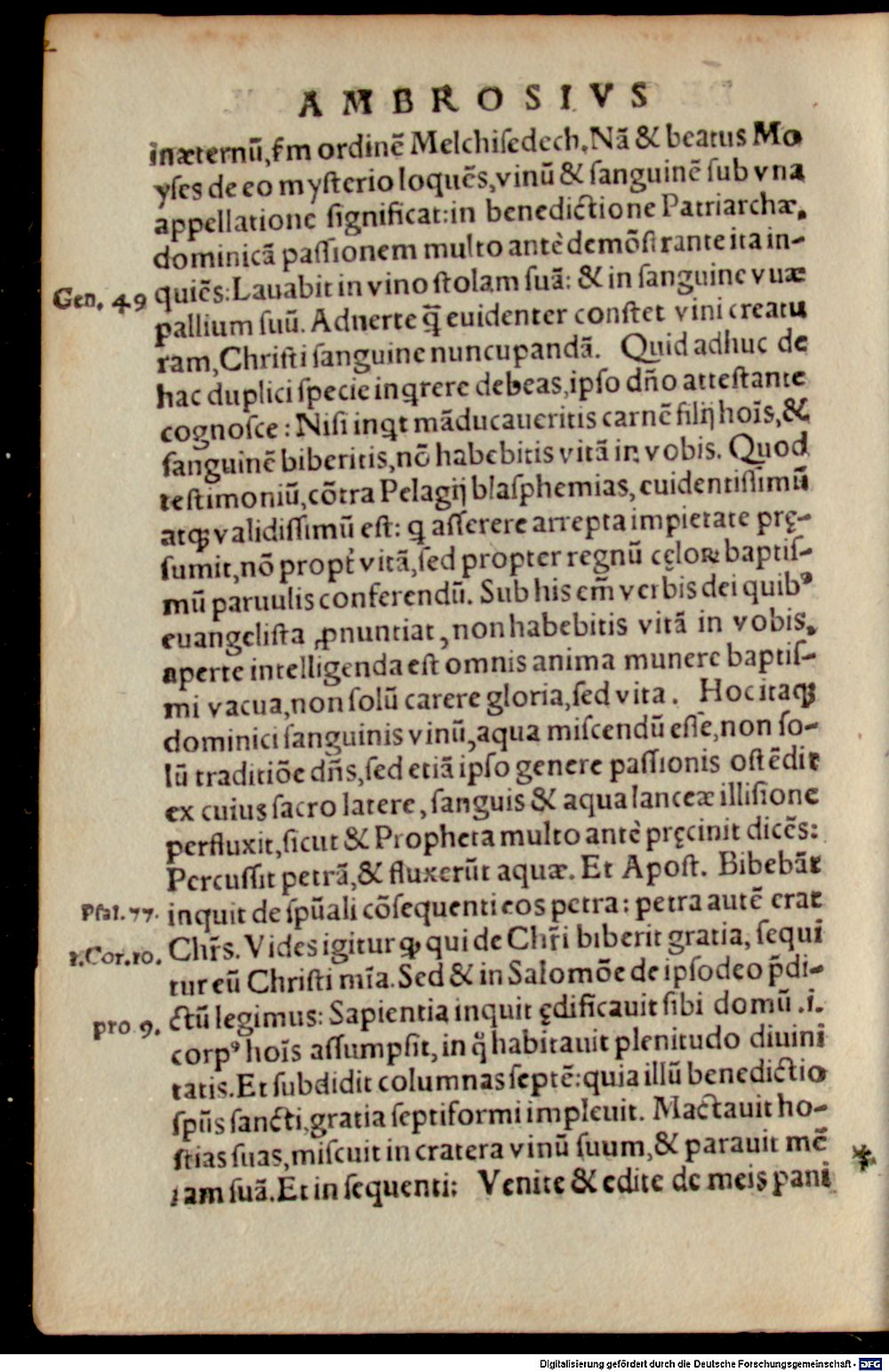 Image