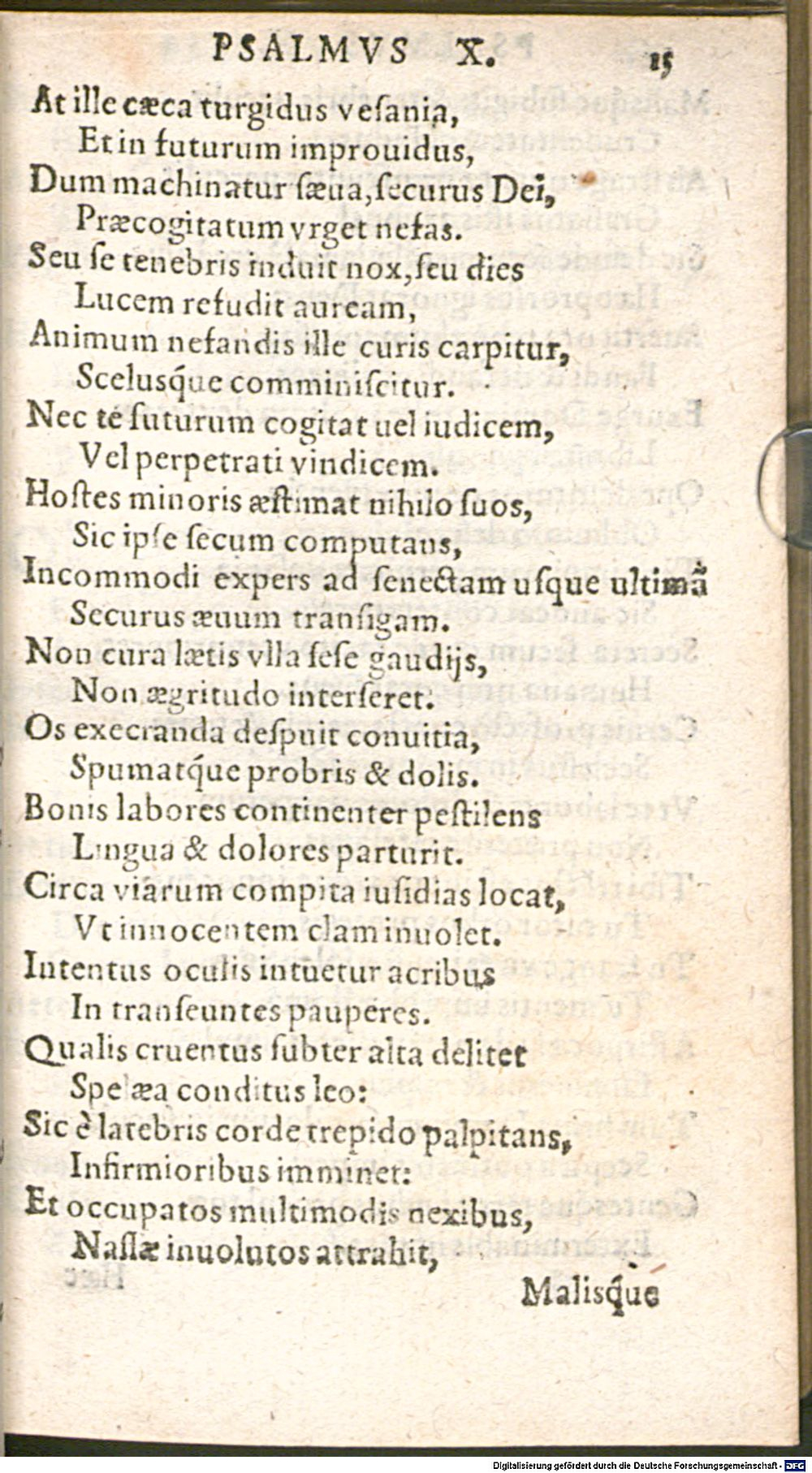 Image