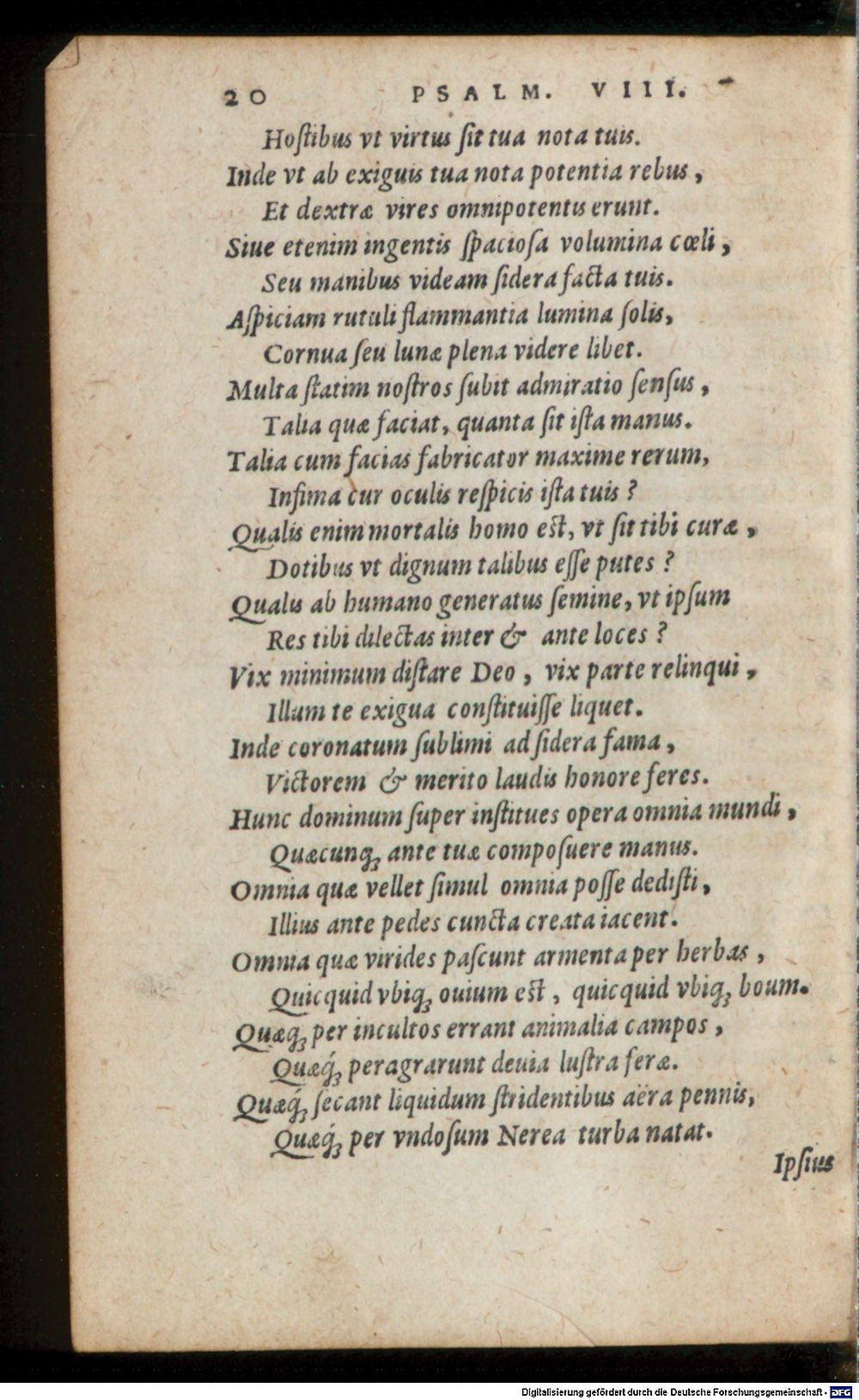Image