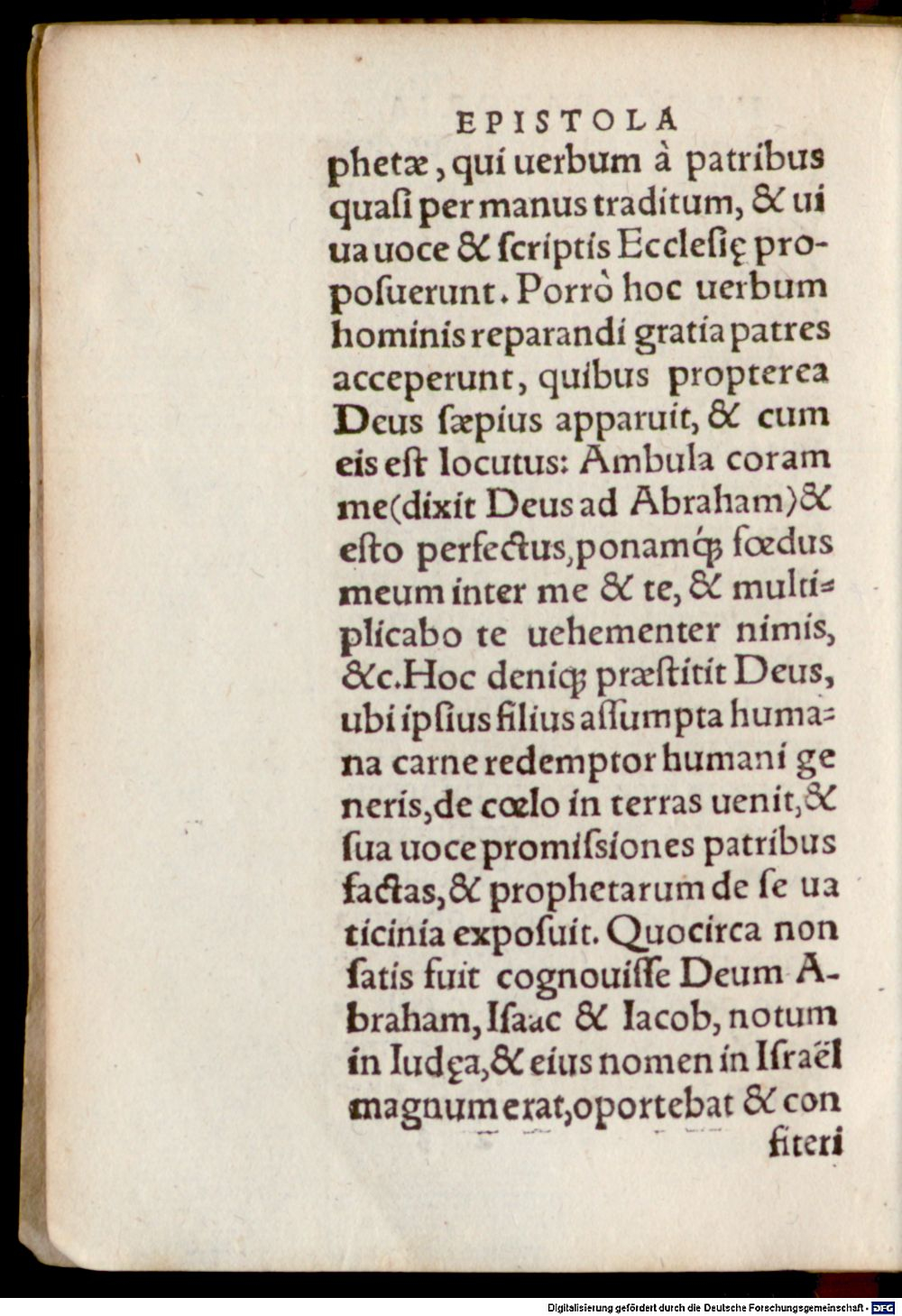 Image