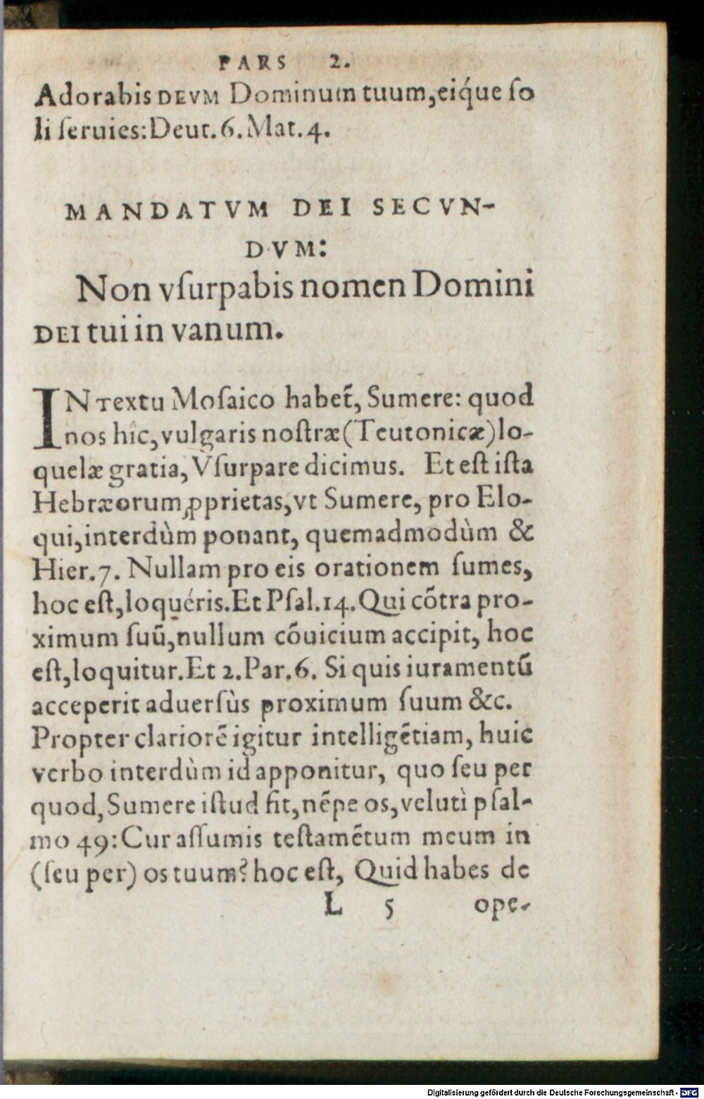 Image