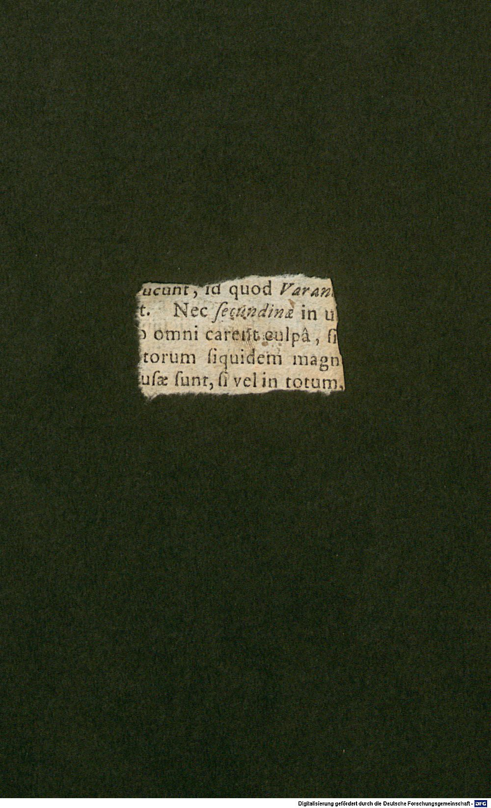 Image